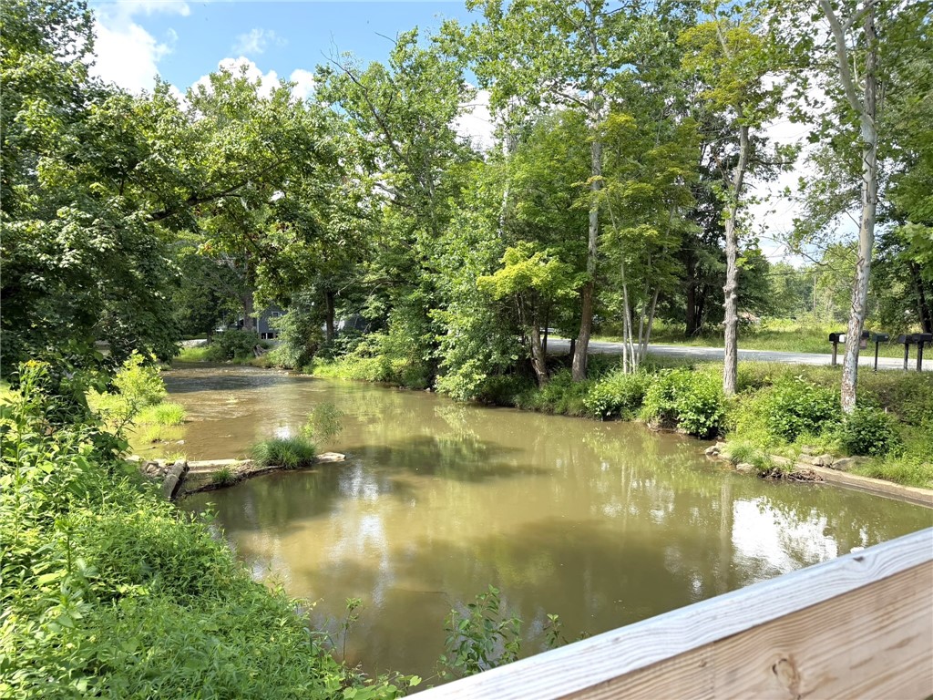 113 Goldenrod Lane
