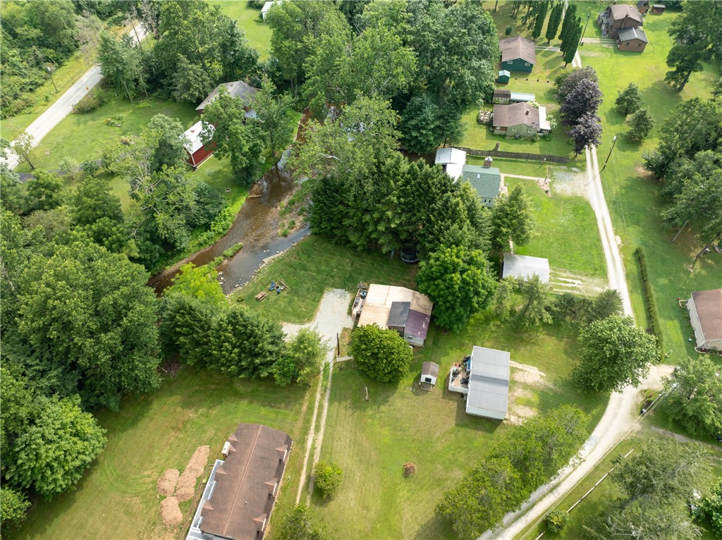 113 Goldenrod Lane