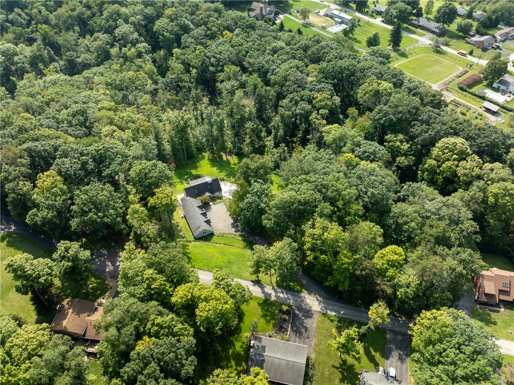 117 Tall Timber Drive