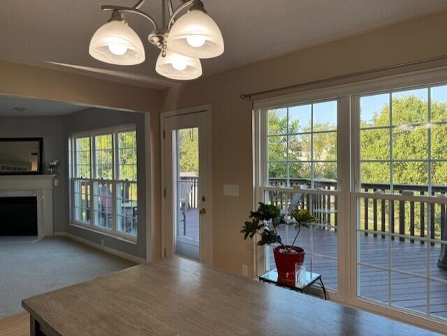 749 Pintail Court