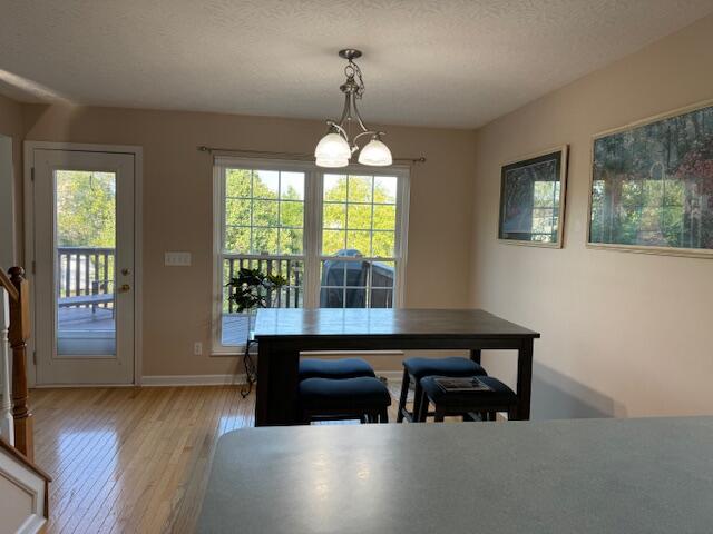 749 Pintail Court