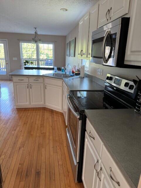 749 Pintail Court