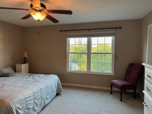 749 Pintail Court
