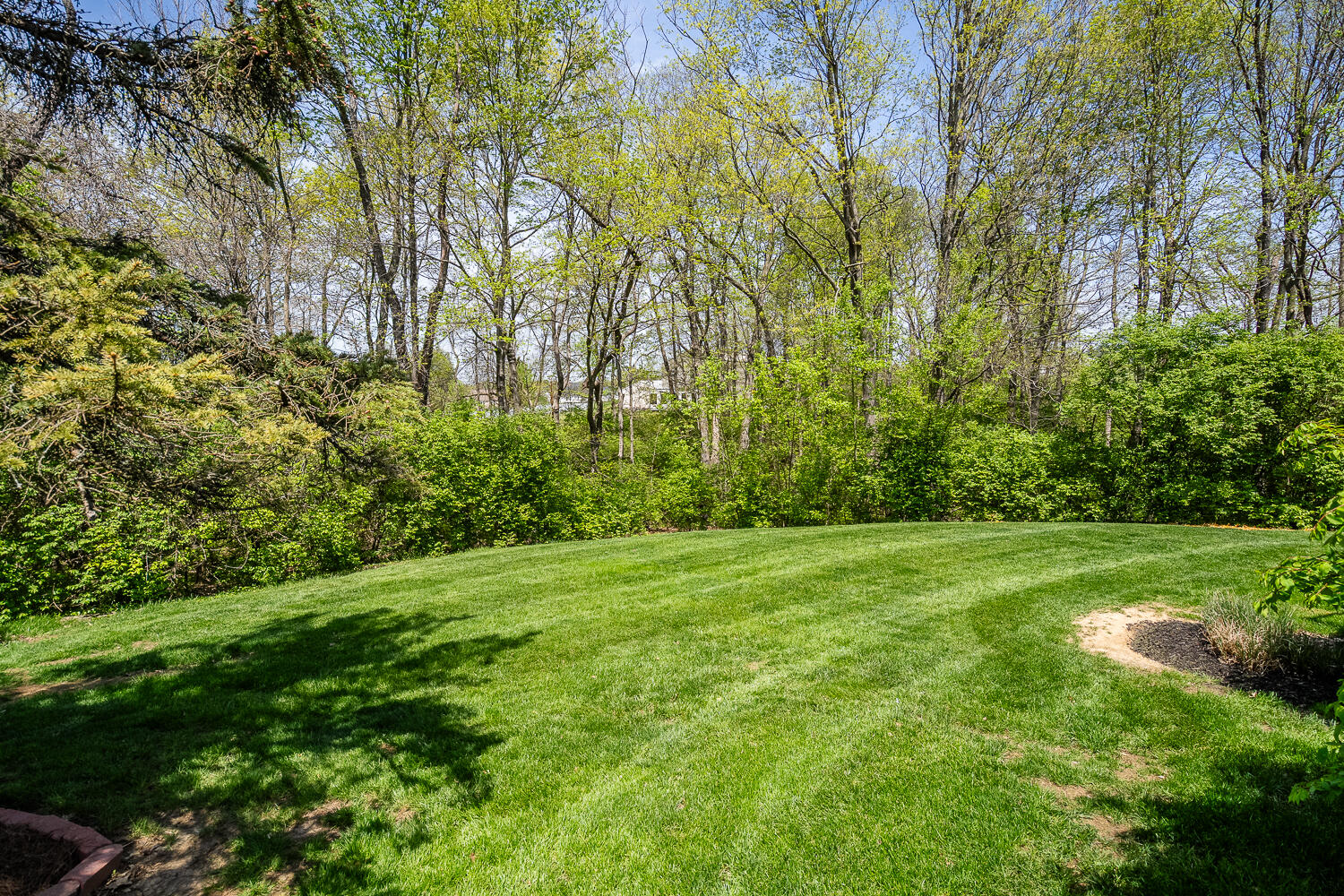 788 Grace Drive
