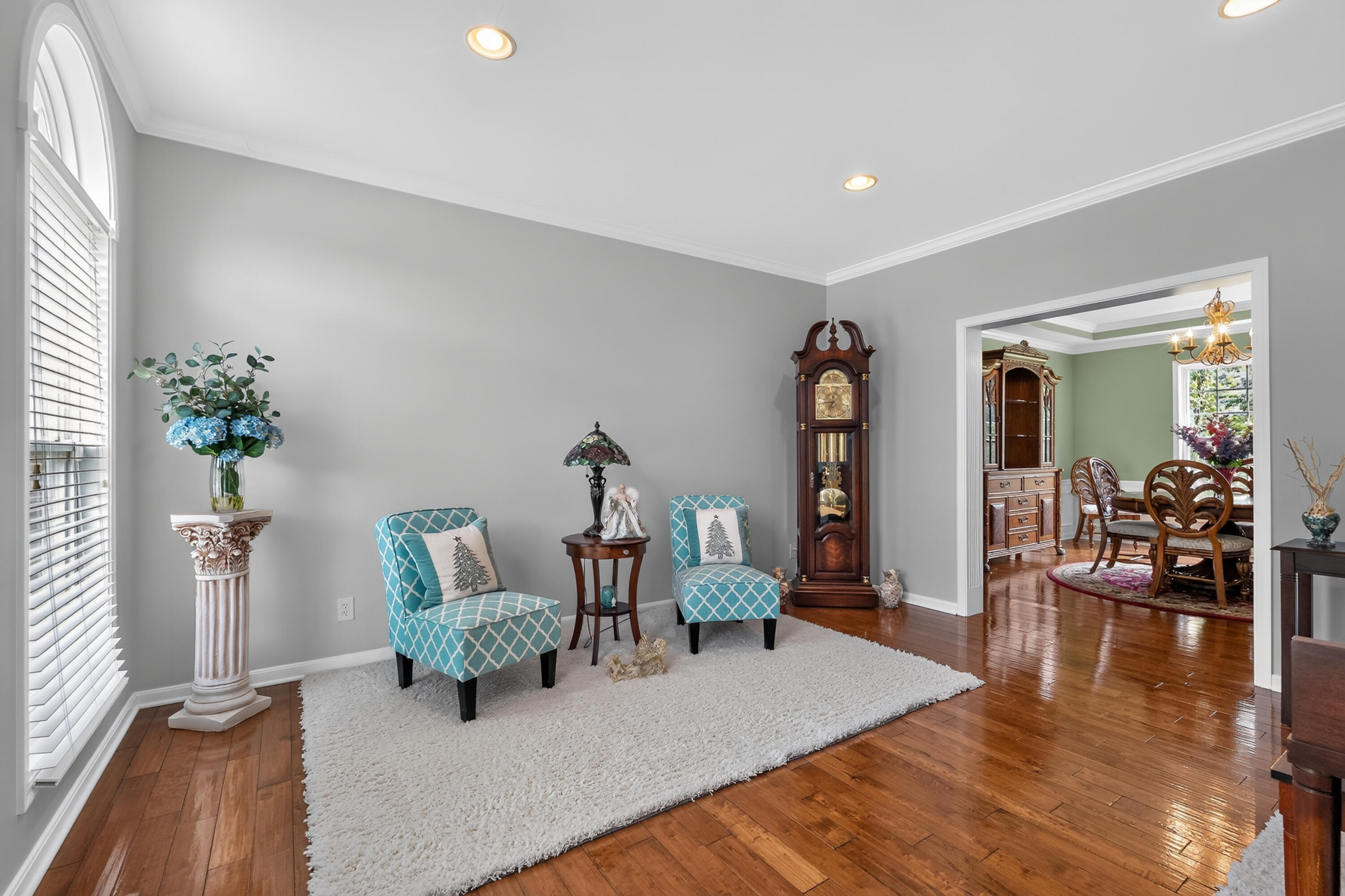 11518 Fringe Tree Drive