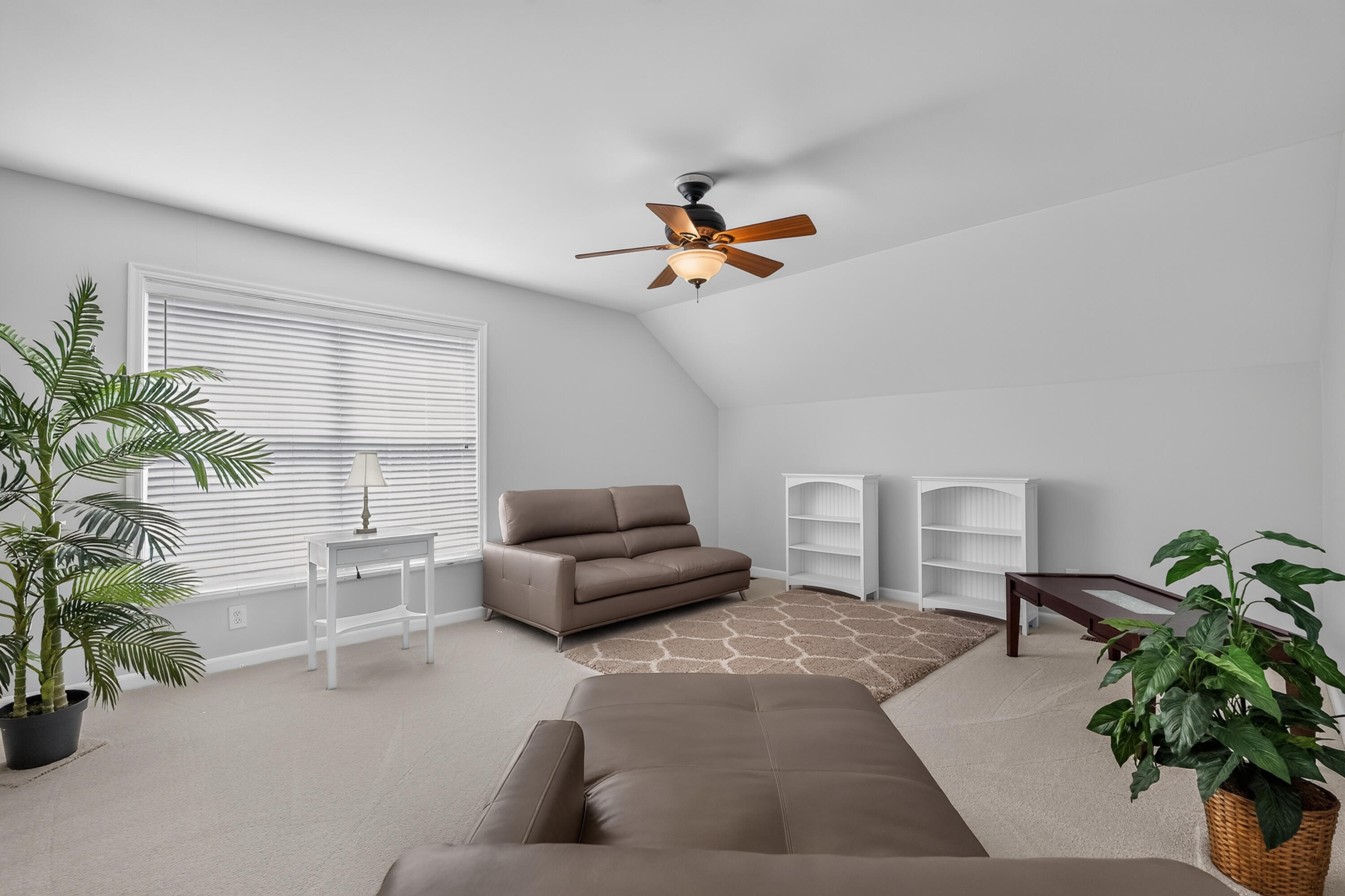 11518 Fringe Tree Drive