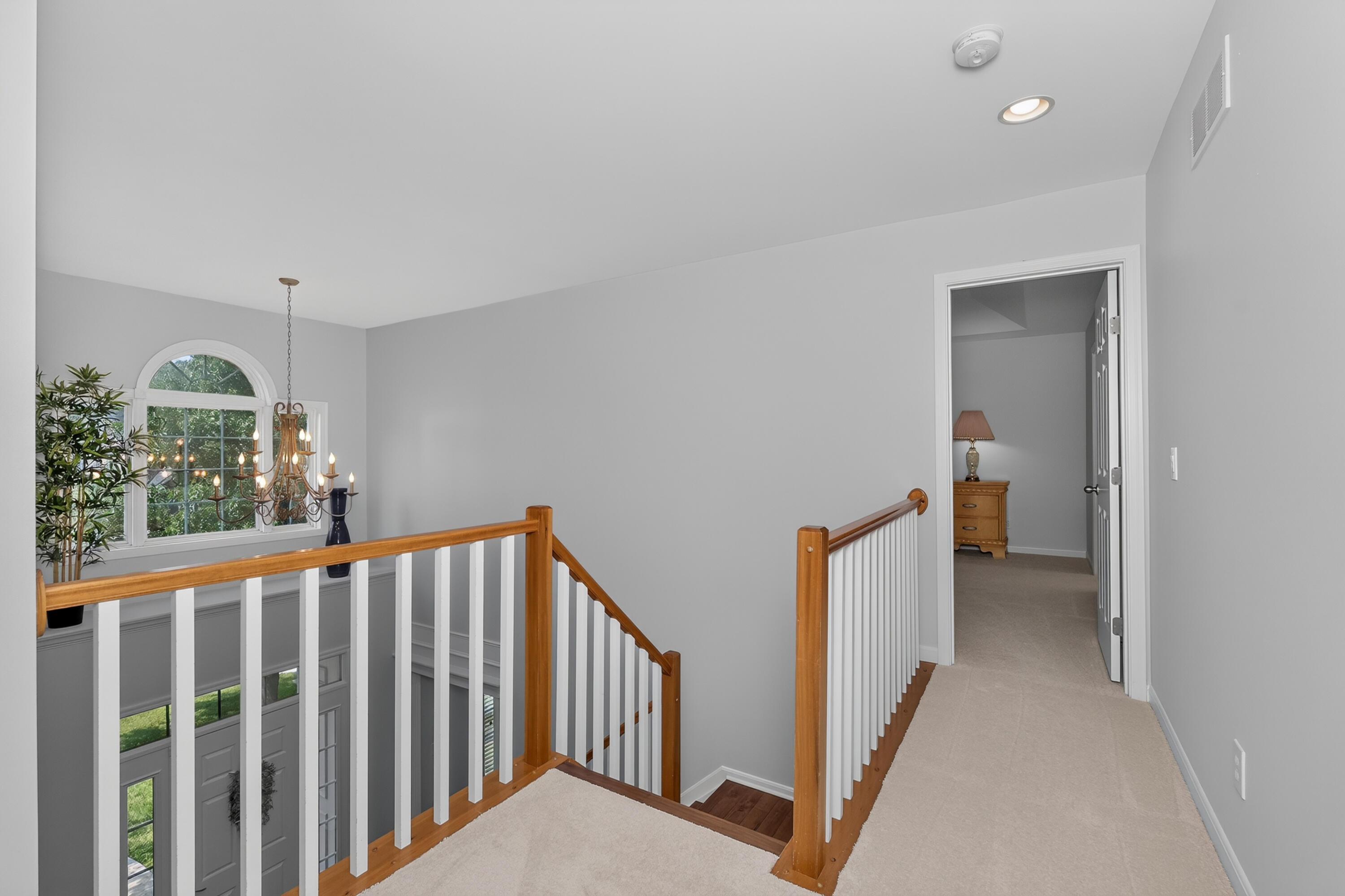 11518 Fringe Tree Drive