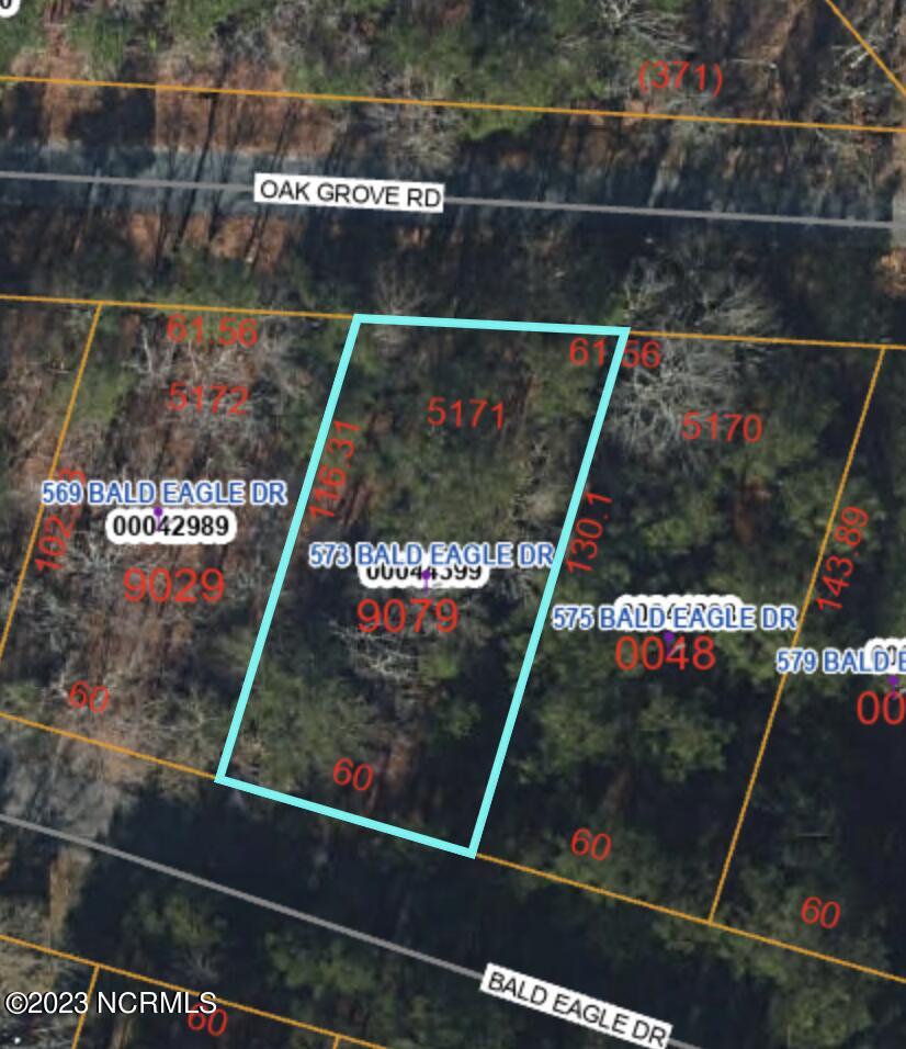 573 Bald Eagle Drive