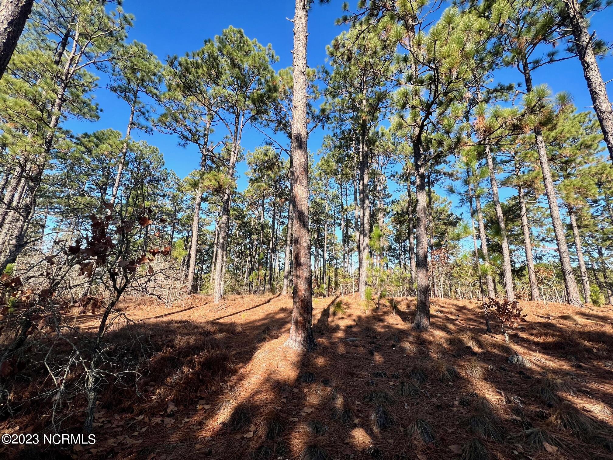 17 Chestertown Drive