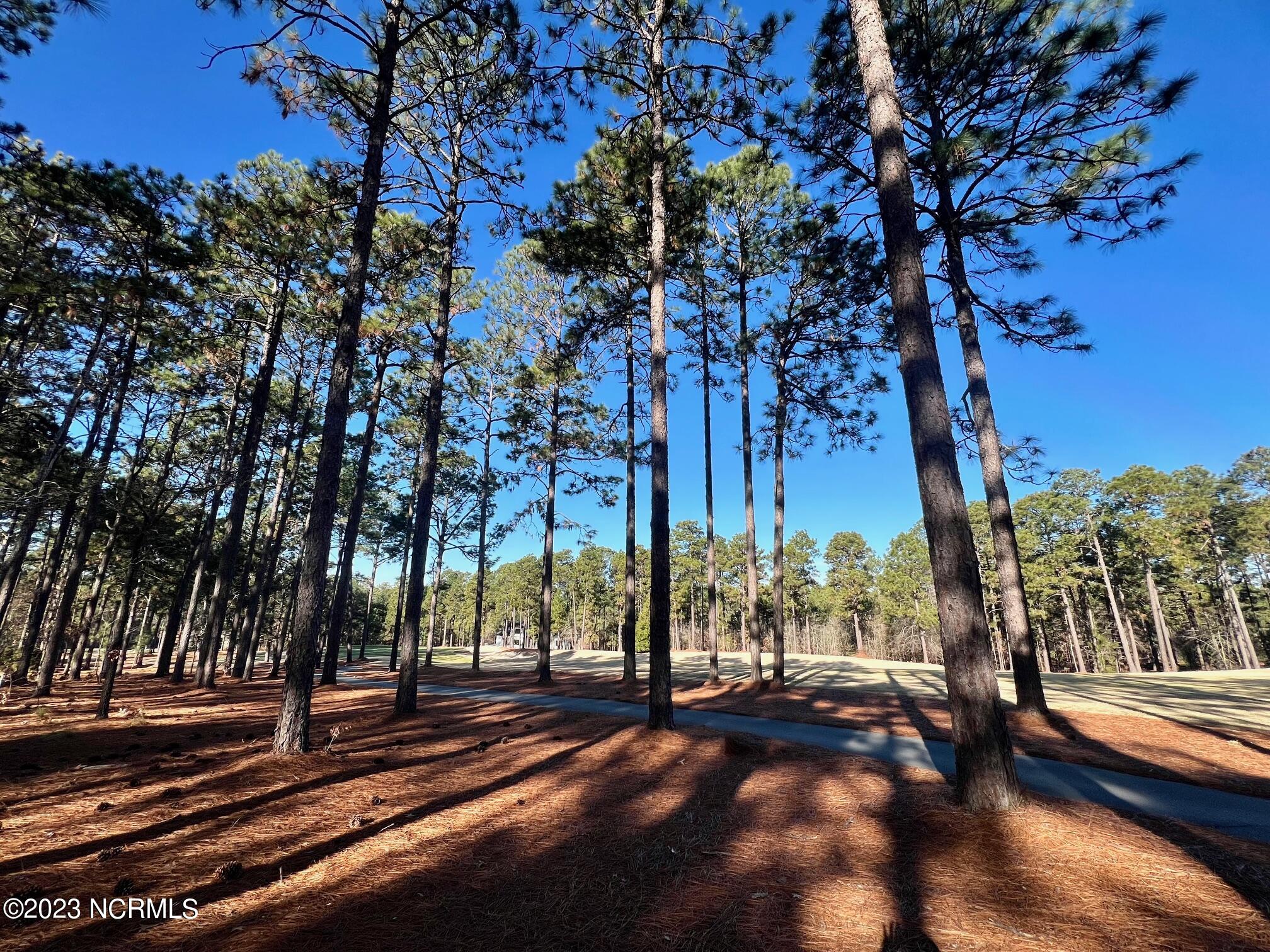 17 Chestertown Drive