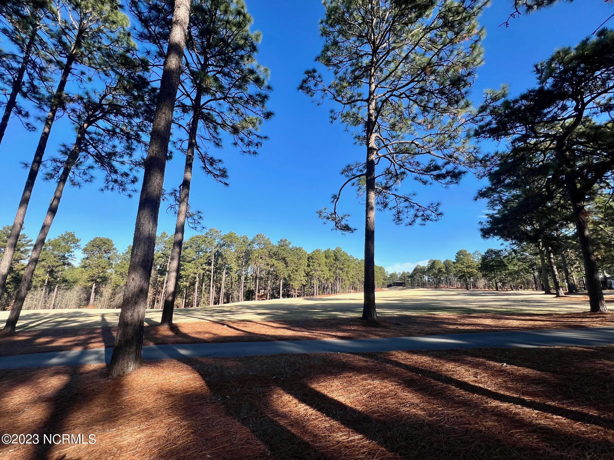 17 Chestertown Drive