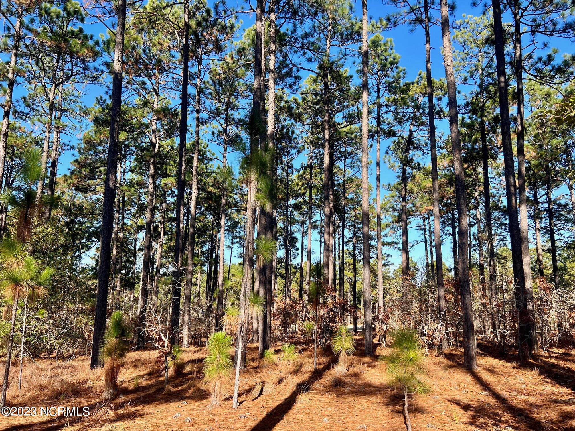 17 Chestertown Drive