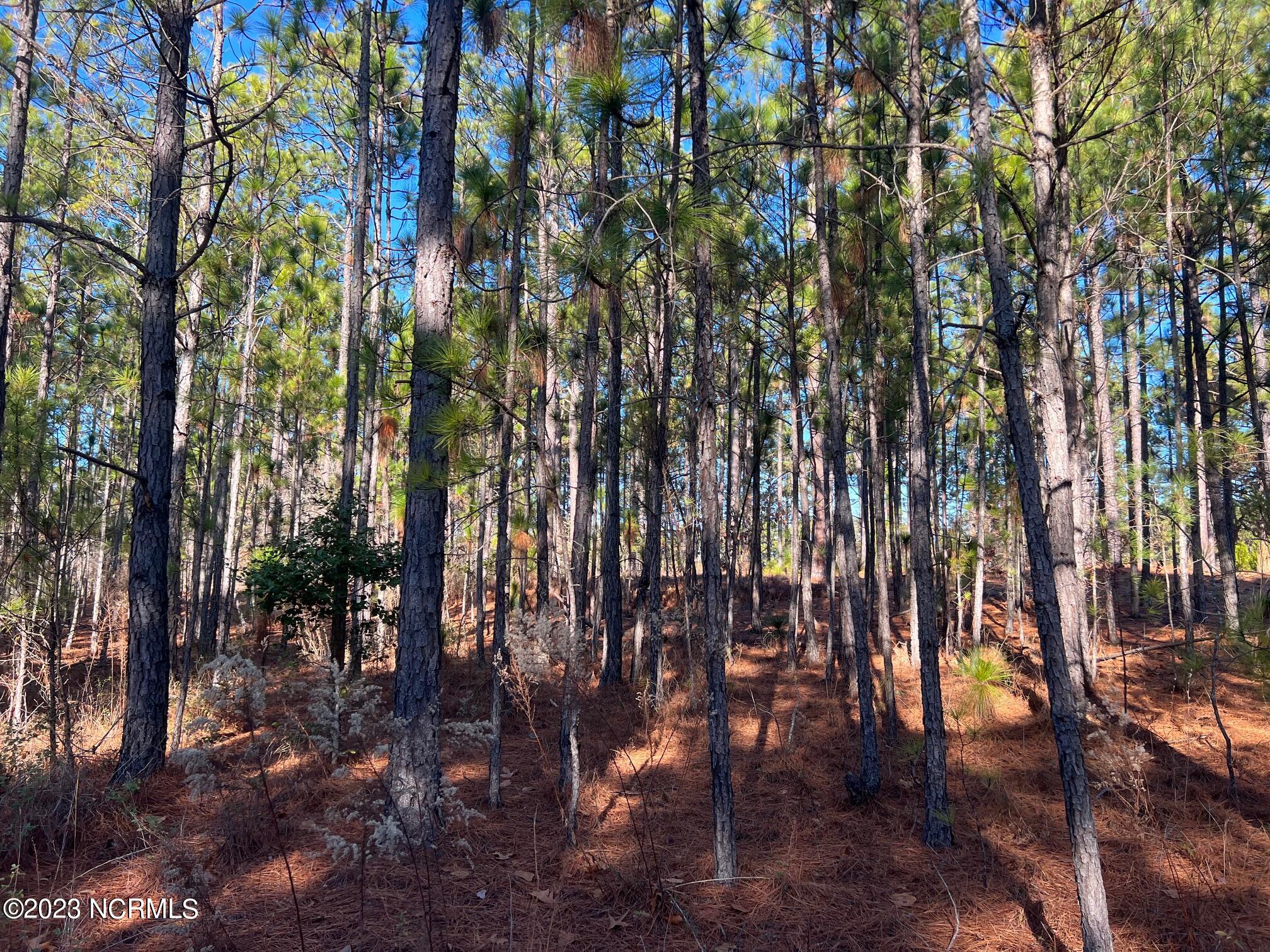 17 Chestertown Drive