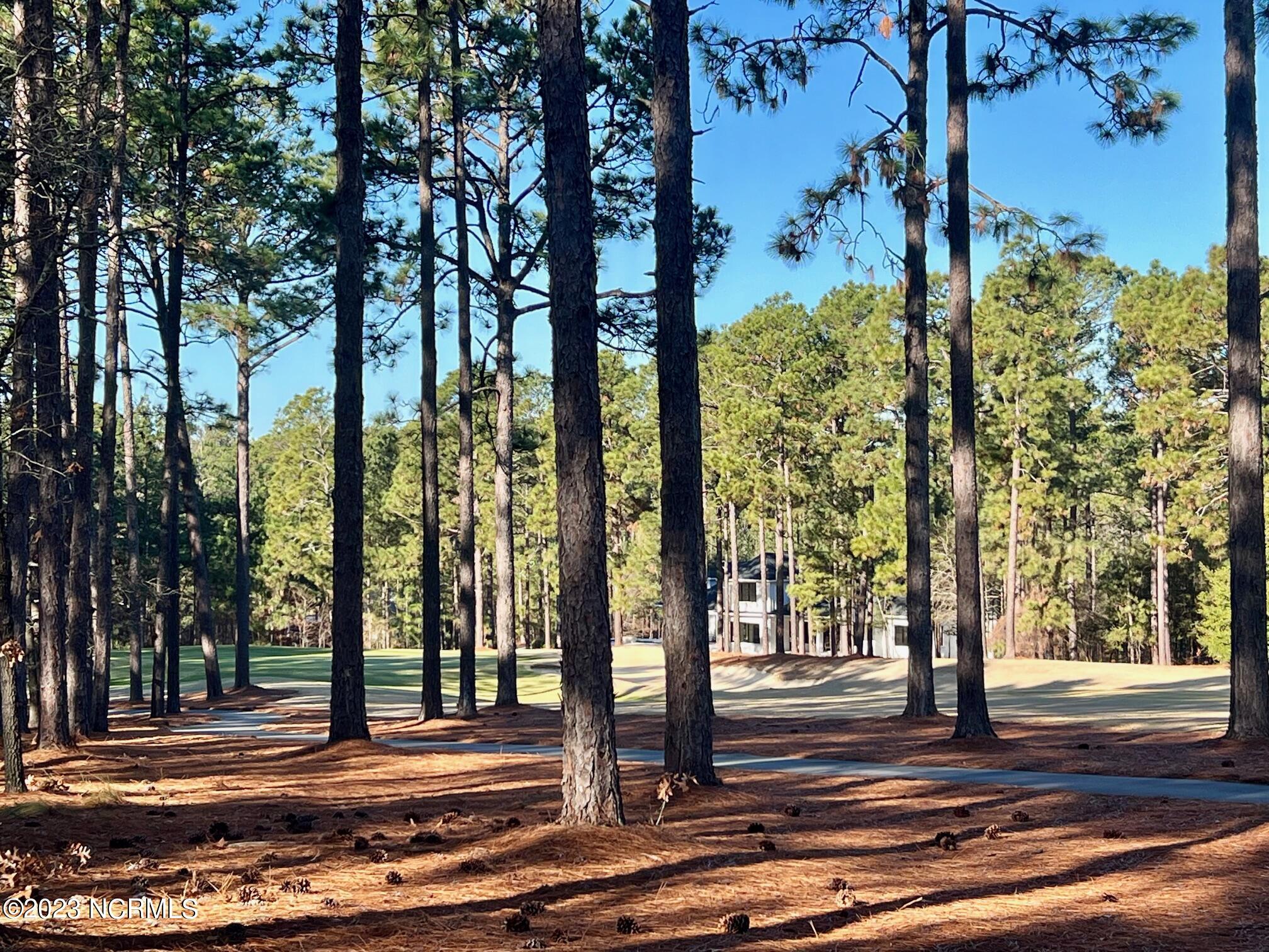 17 Chestertown Drive