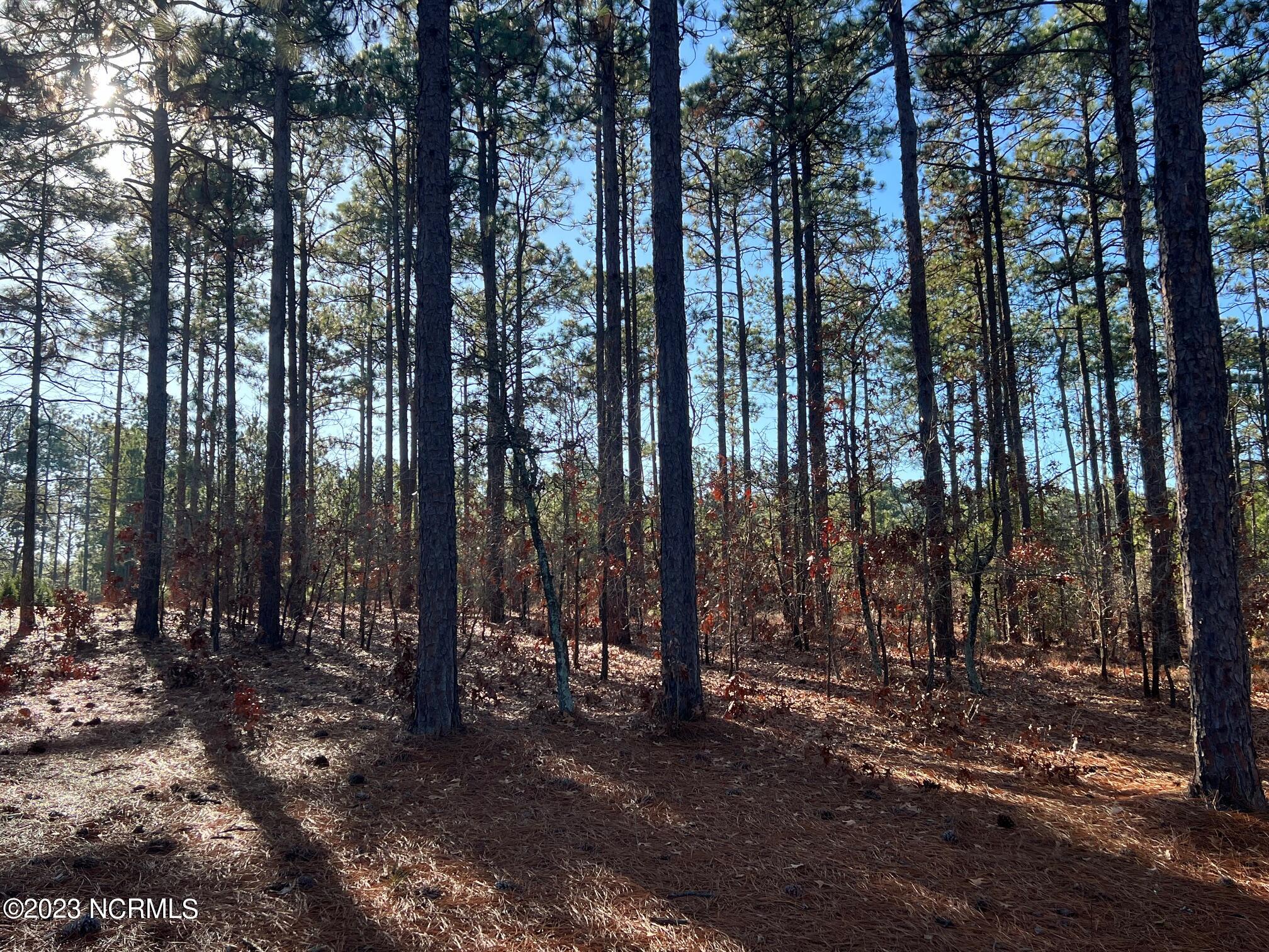 17 Chestertown Drive