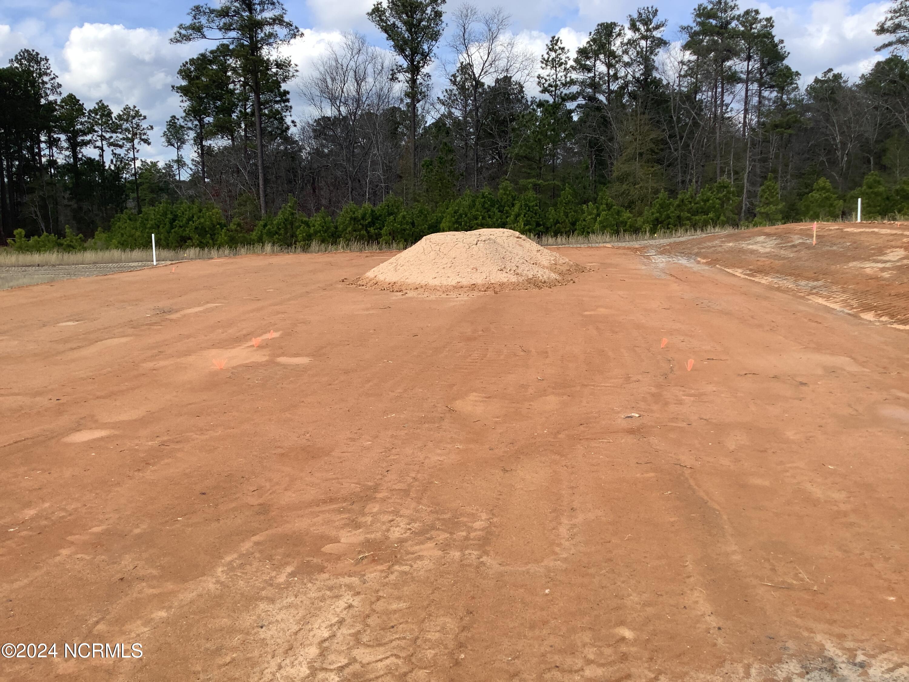 189 Rough Ridge Trail, 10