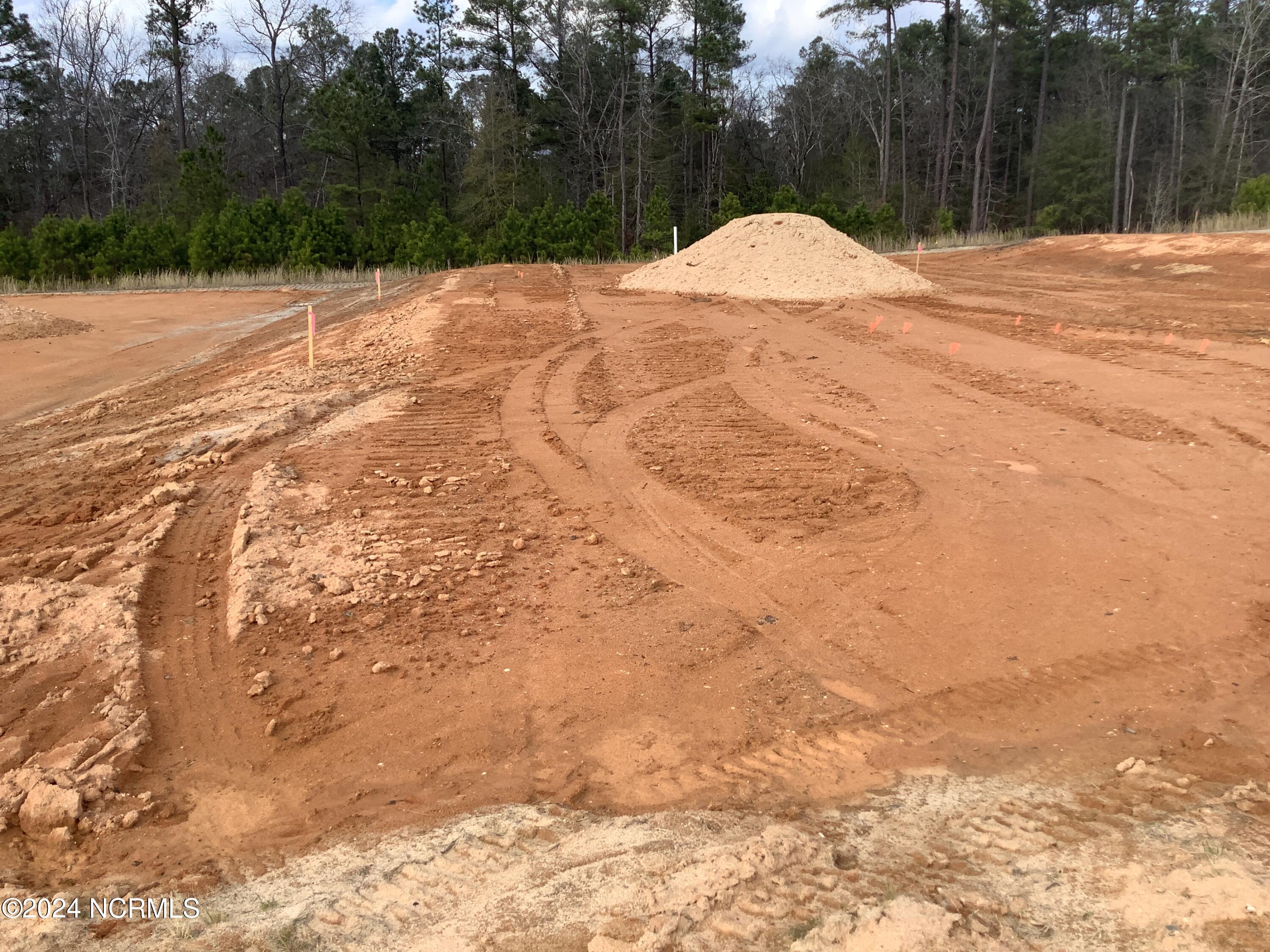 195 Rough Ridge Trail, 11