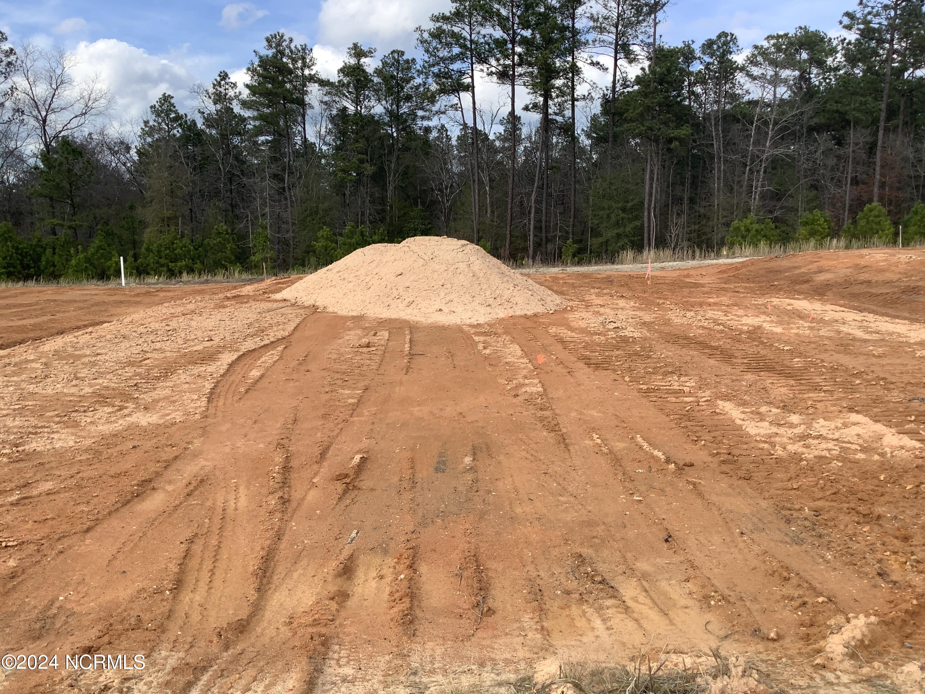 201 Rough Ridge Trail, 12