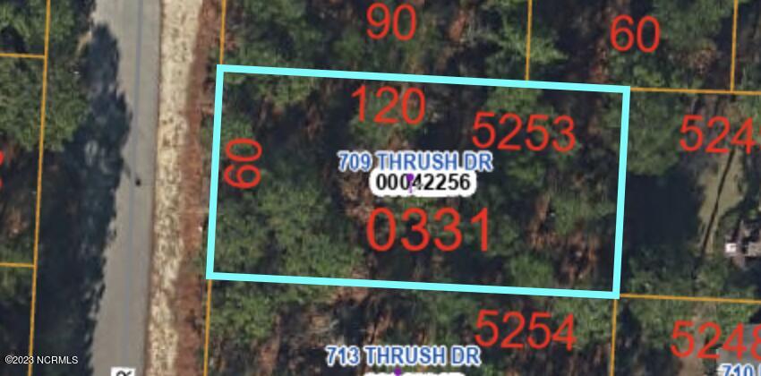 709 Thrush Drive