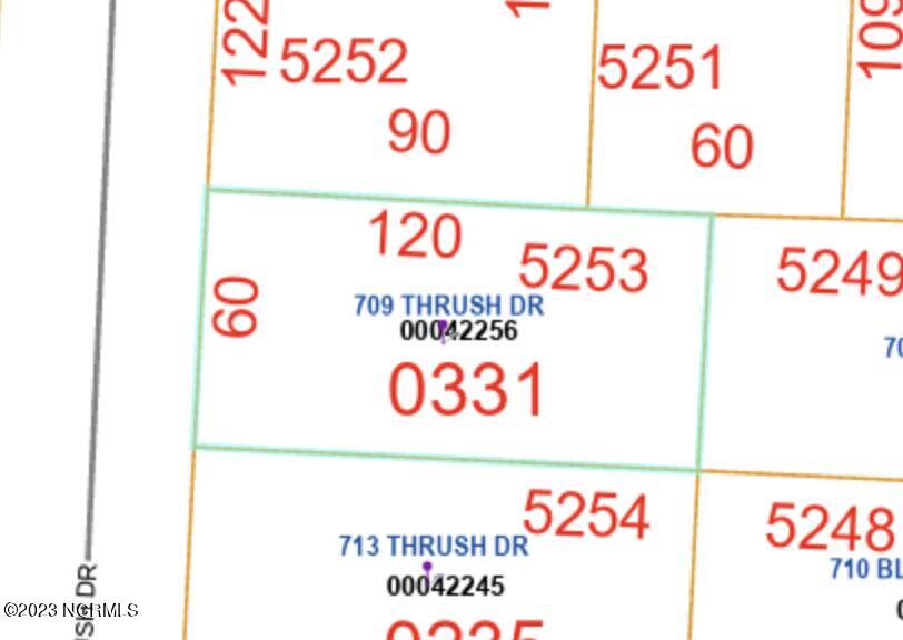 709 Thrush Drive