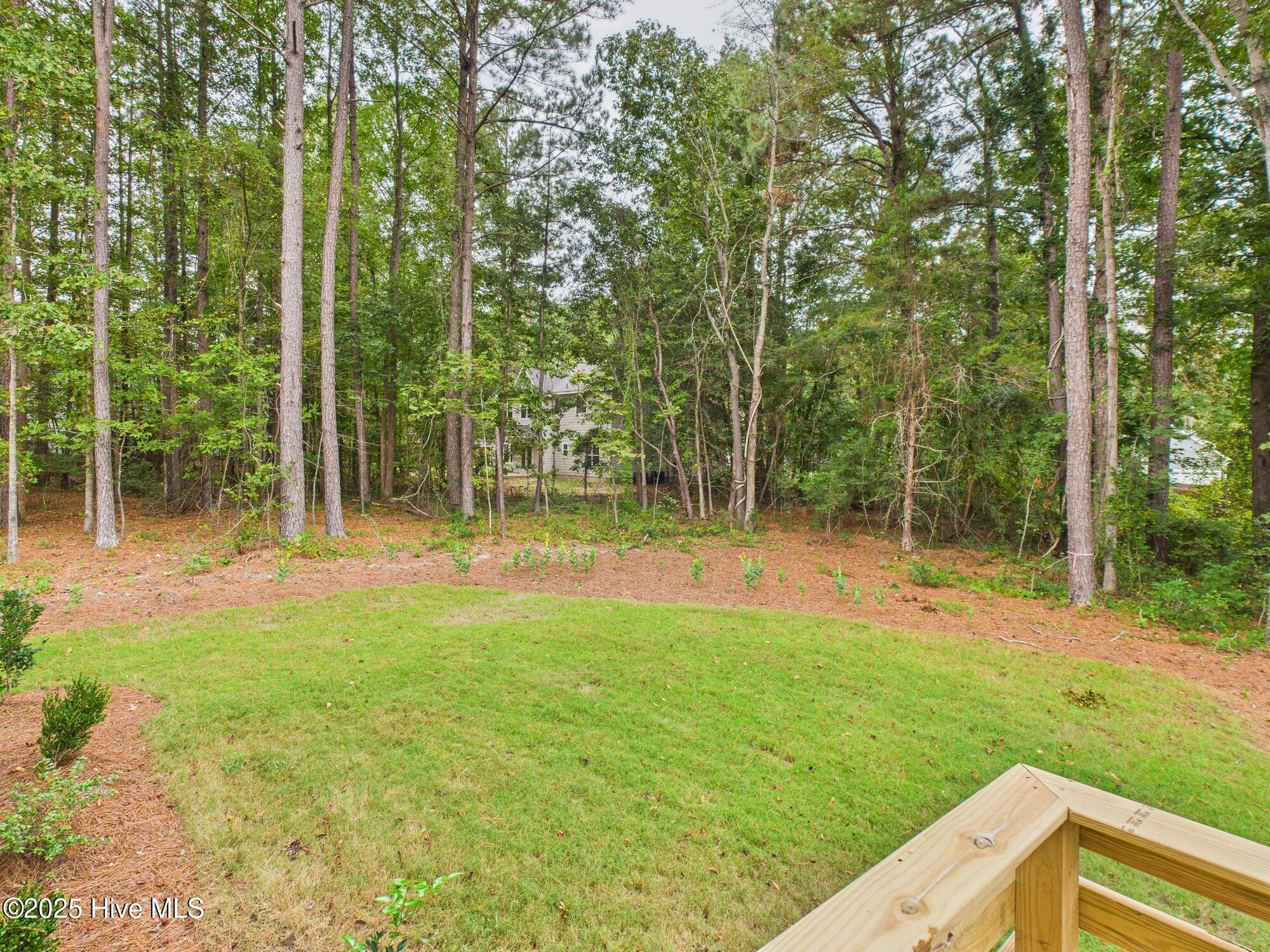859 Blue Bird Drive