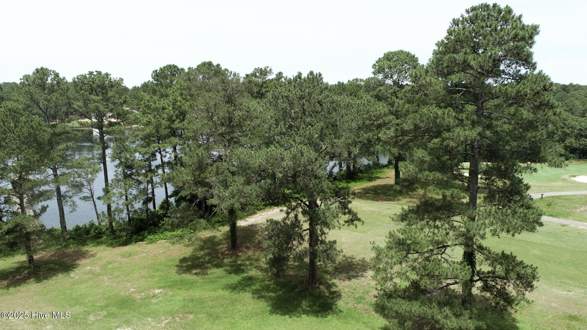 34 S Shamrock Drive