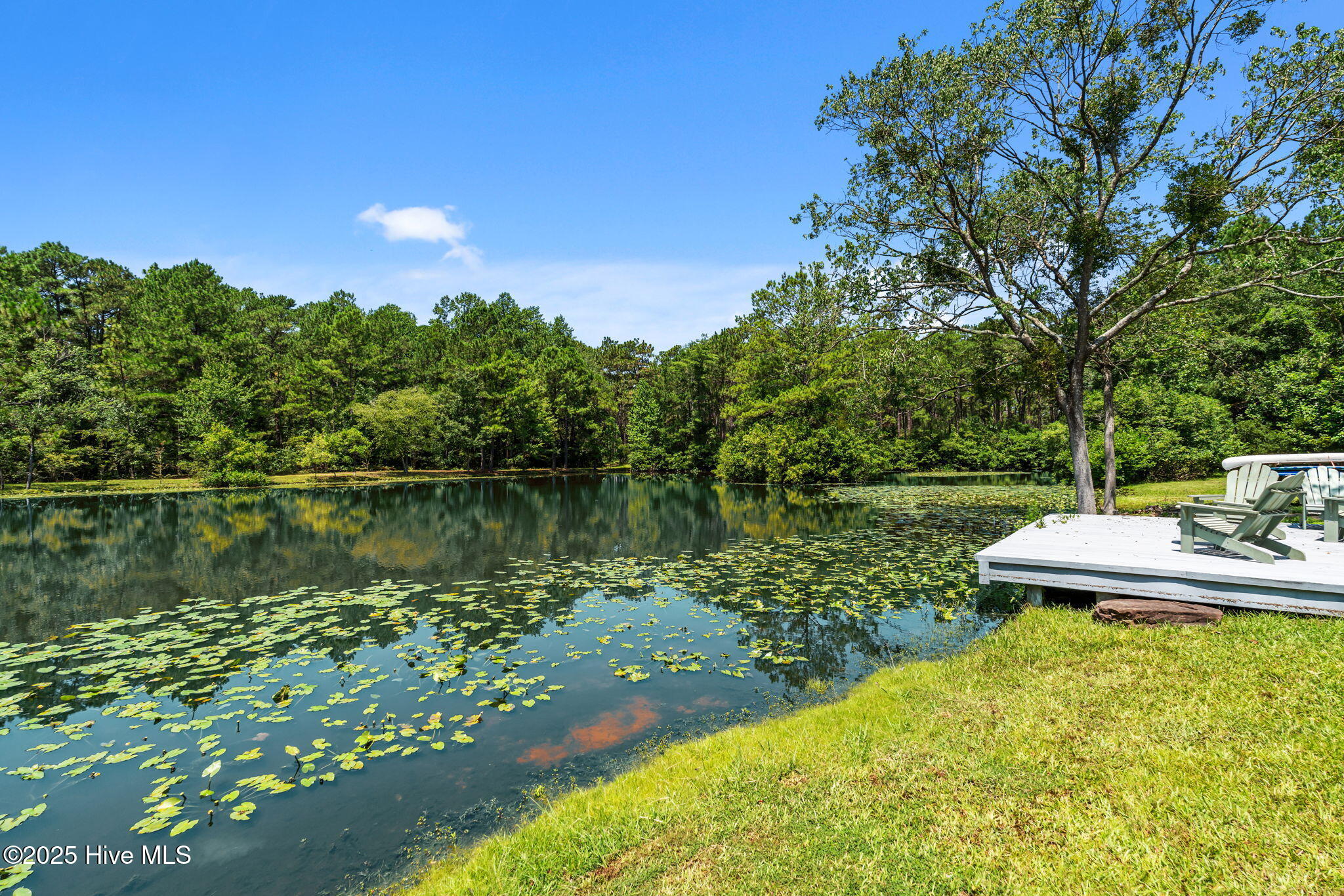 194 Tamarack Lane