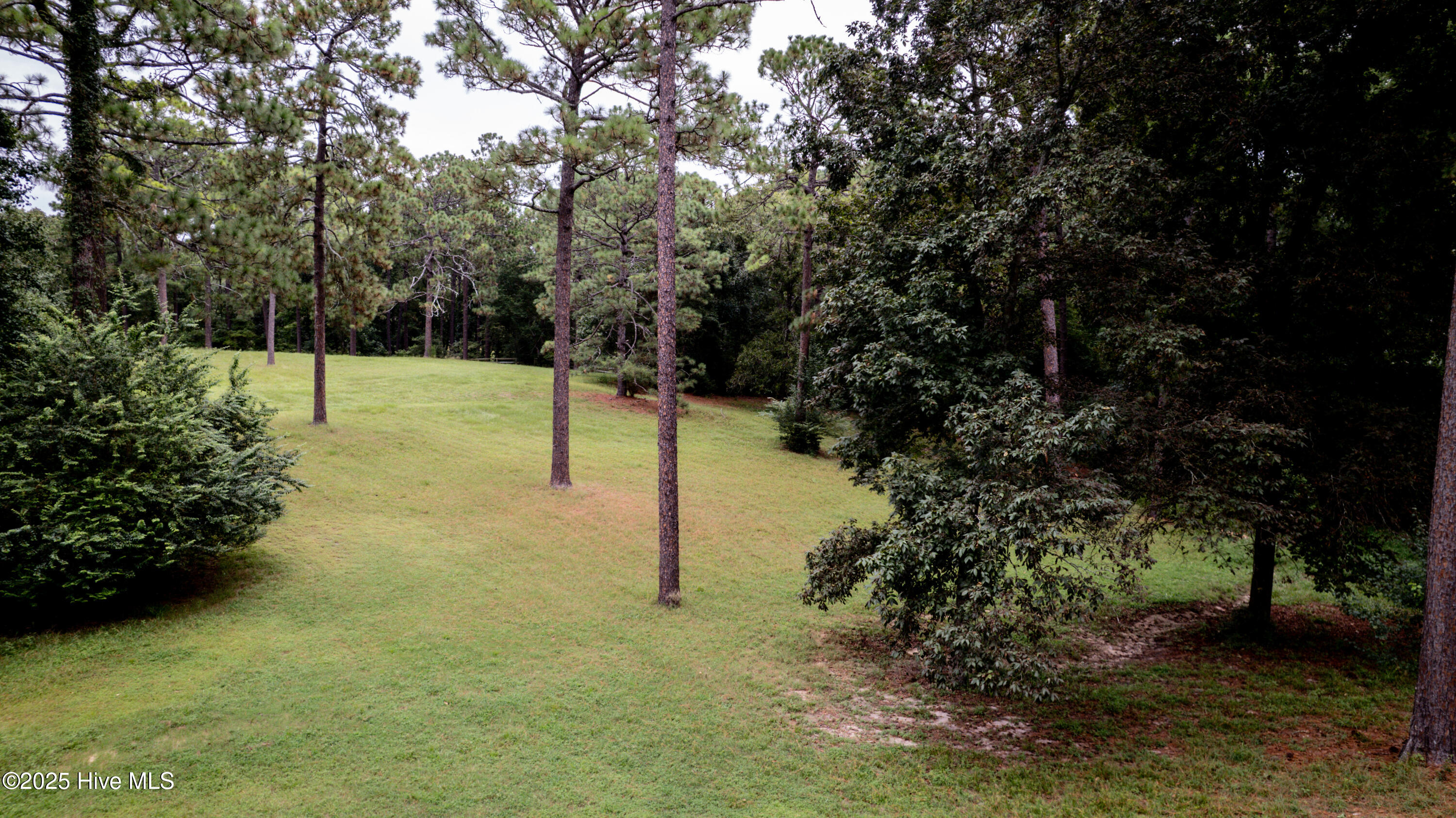 292 Bump A Long Lane