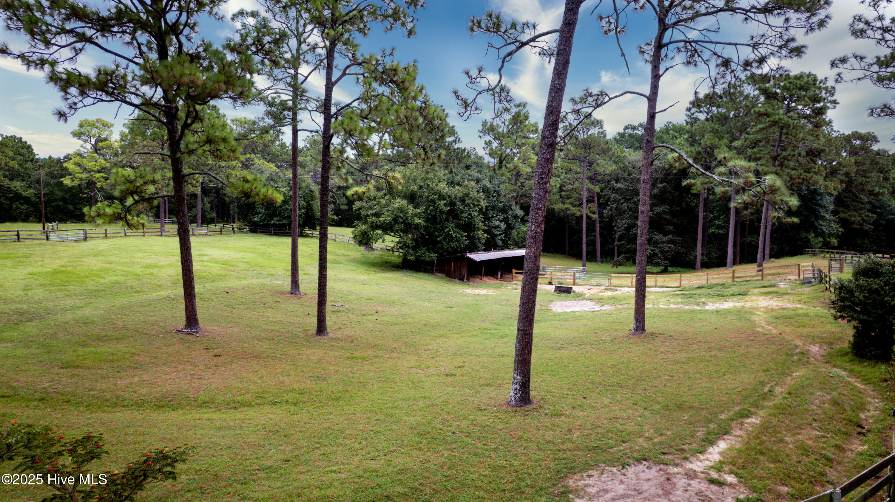 292 Bump A Long Lane