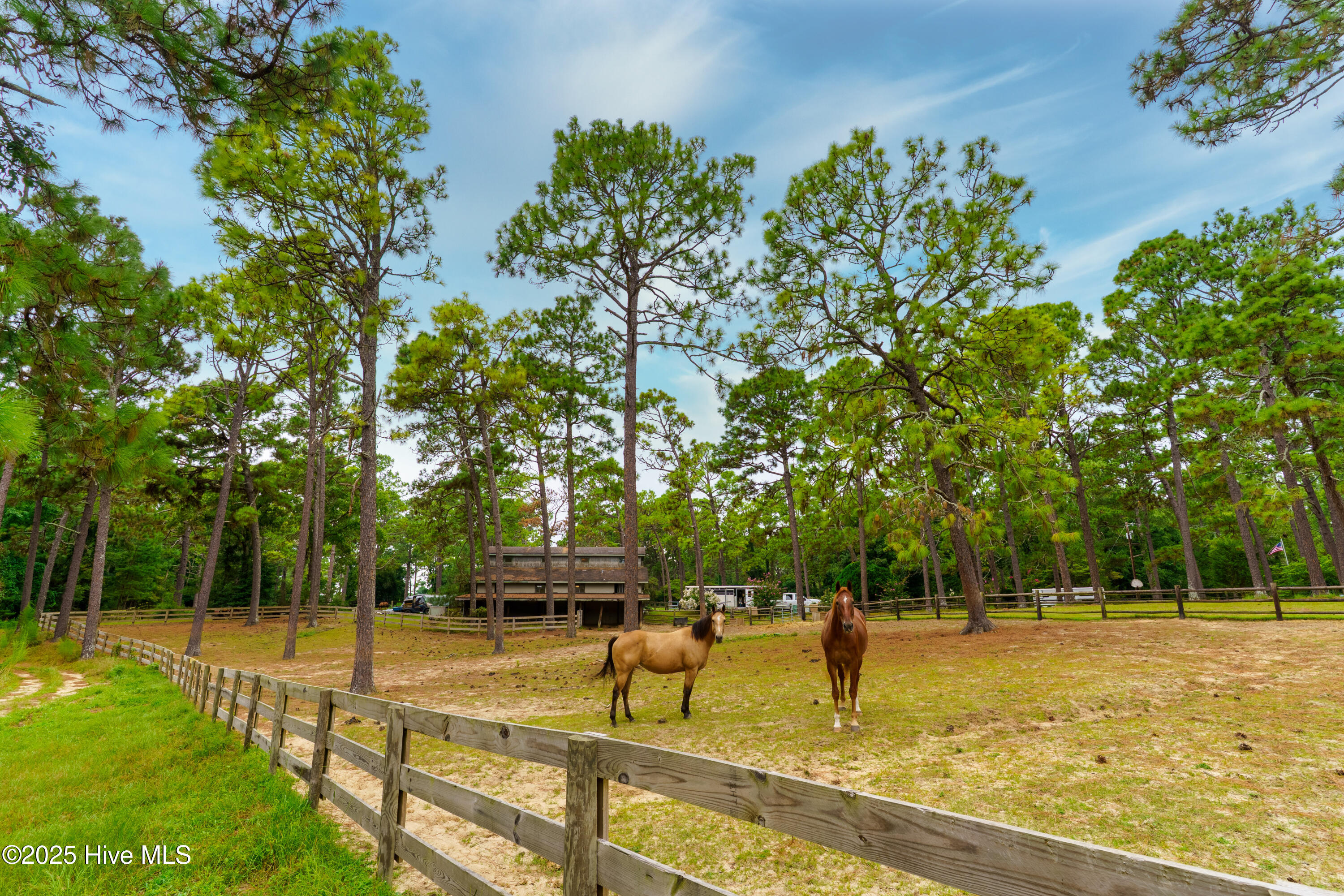 292 Bump A Long Lane