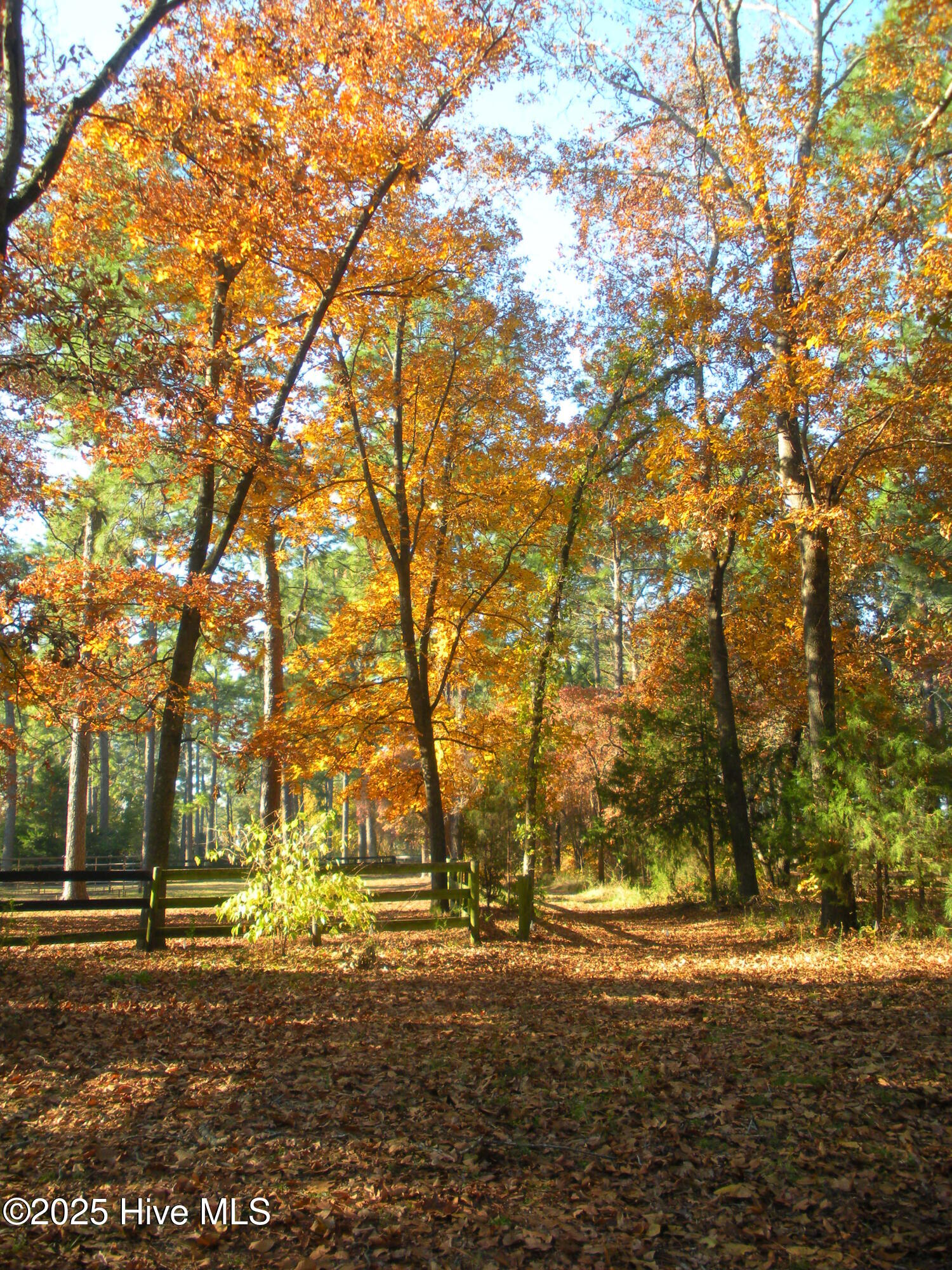 292 Bump A Long Lane