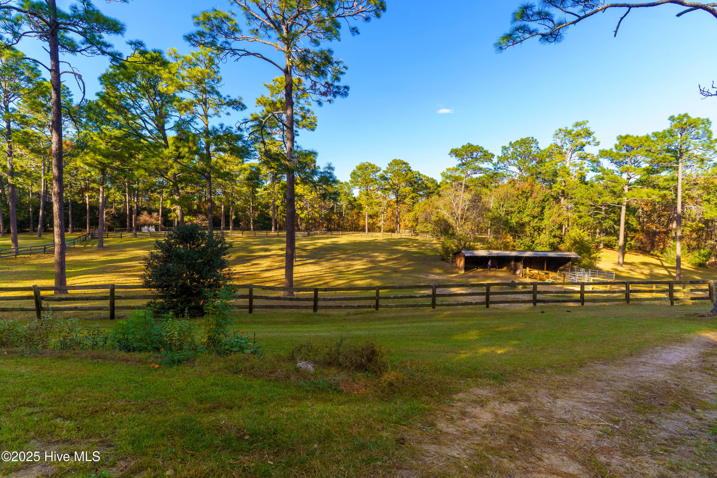 292 Bump A Long Lane