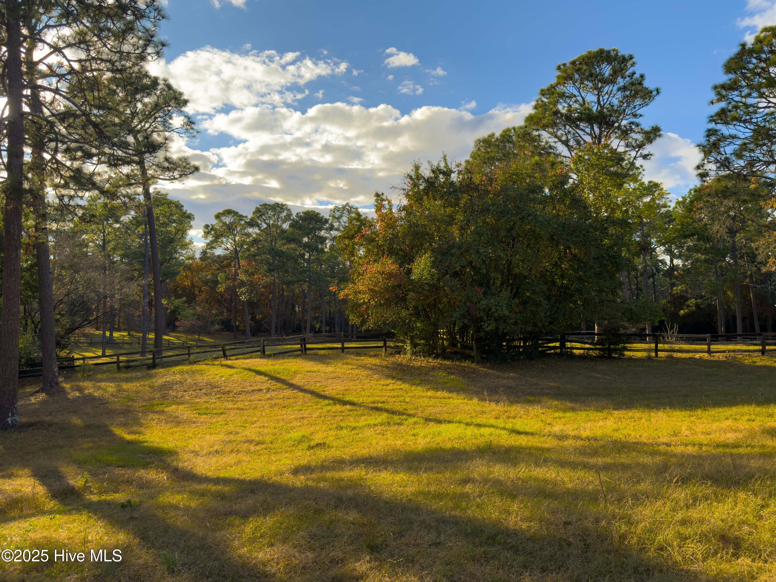 292 Bump A Long Lane