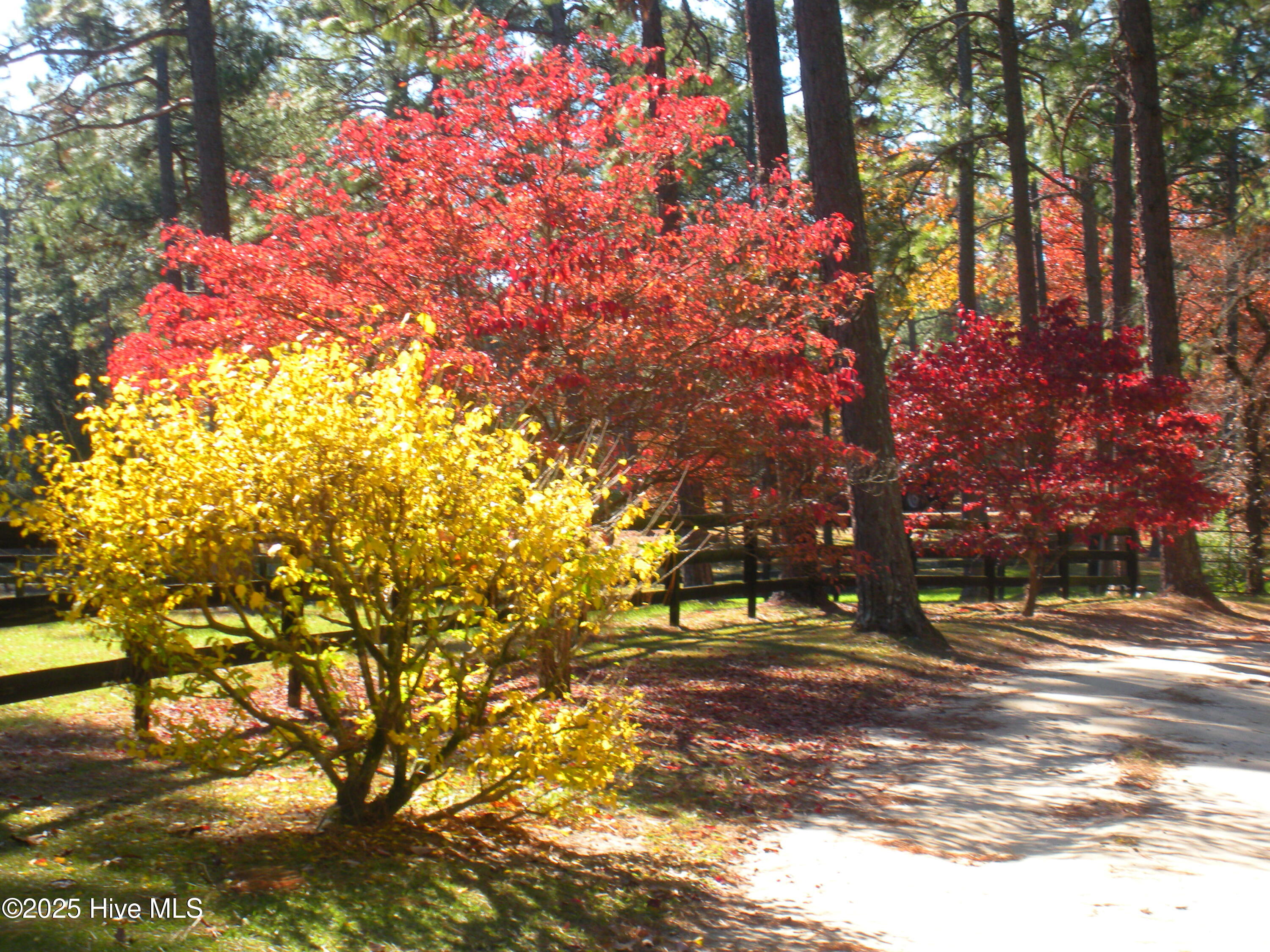 292 Bump A Long Lane