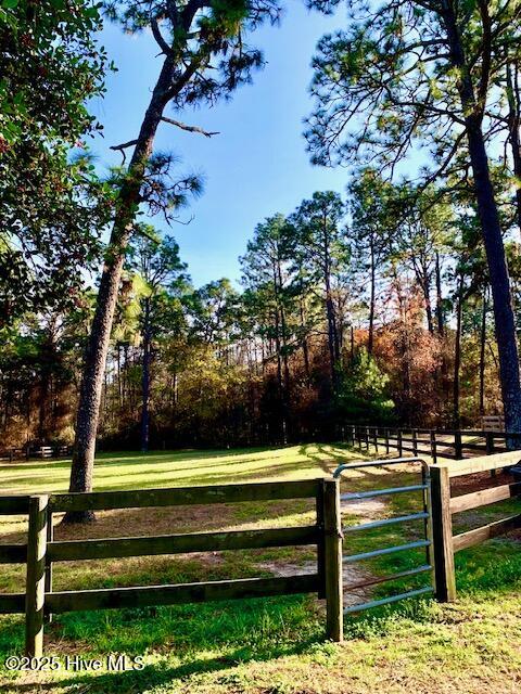 292 Bump A Long Lane