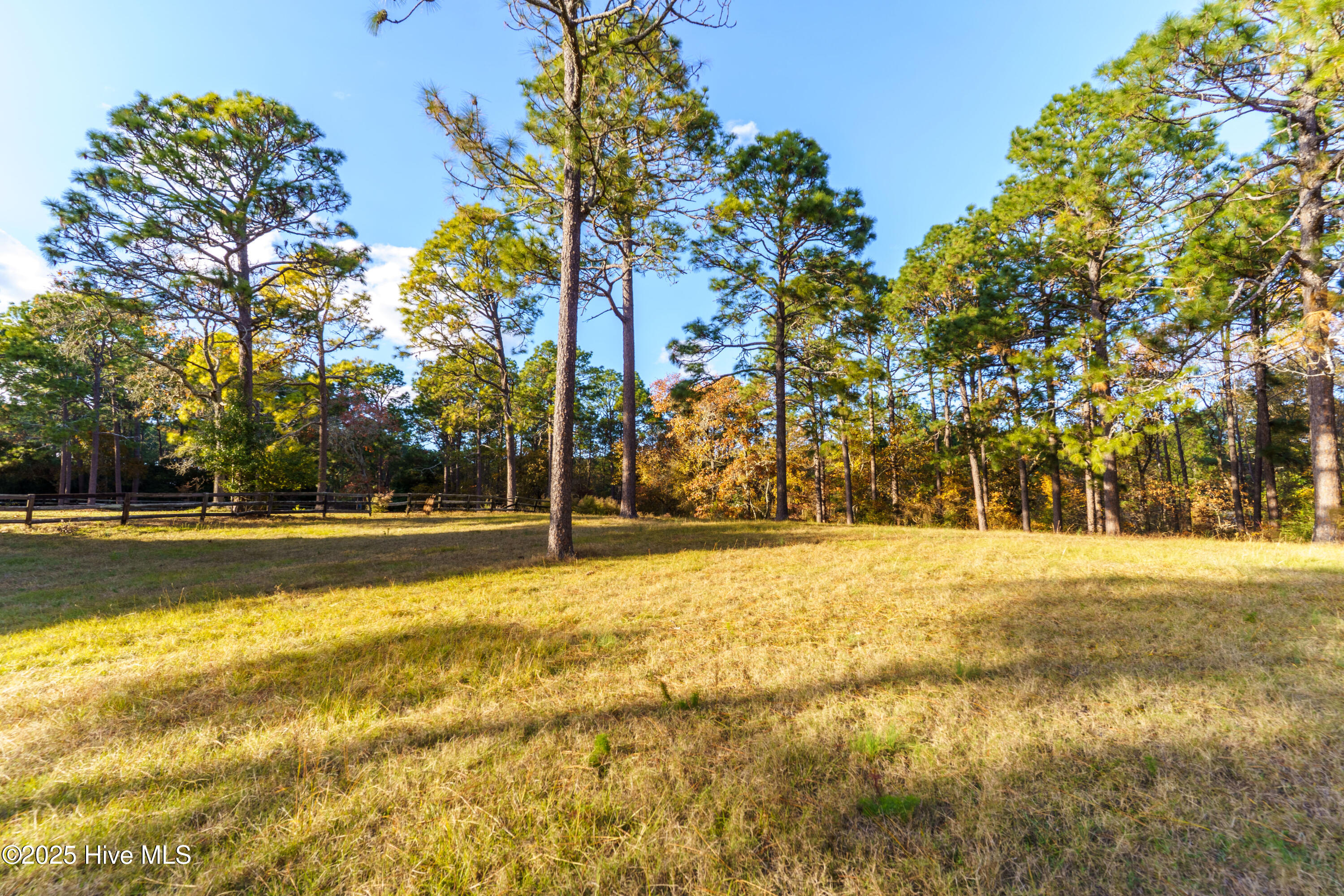 292 Bump A Long Lane