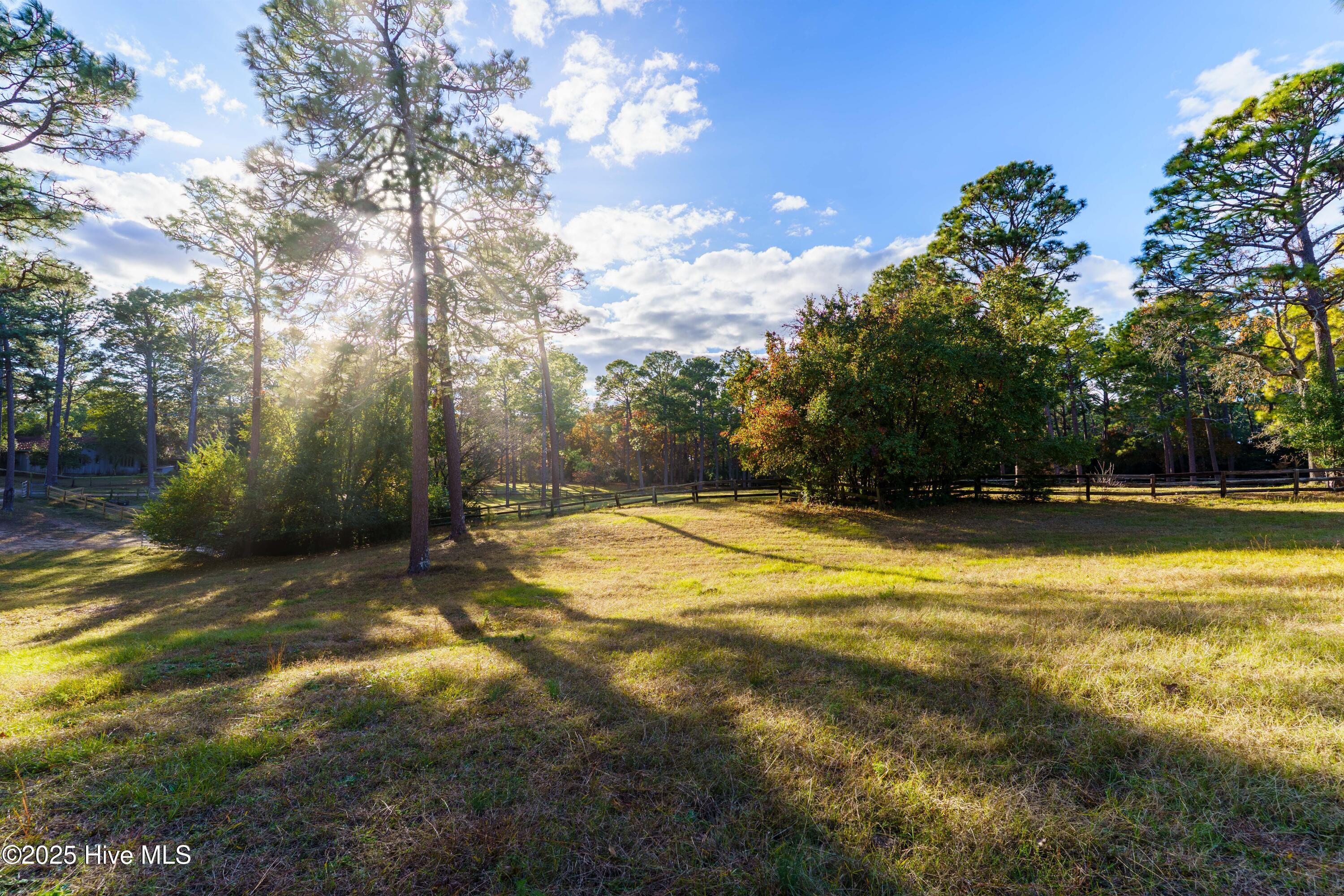 292 Bump A Long Lane