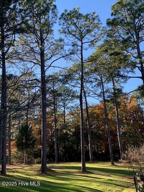 292 Bump A Long Lane