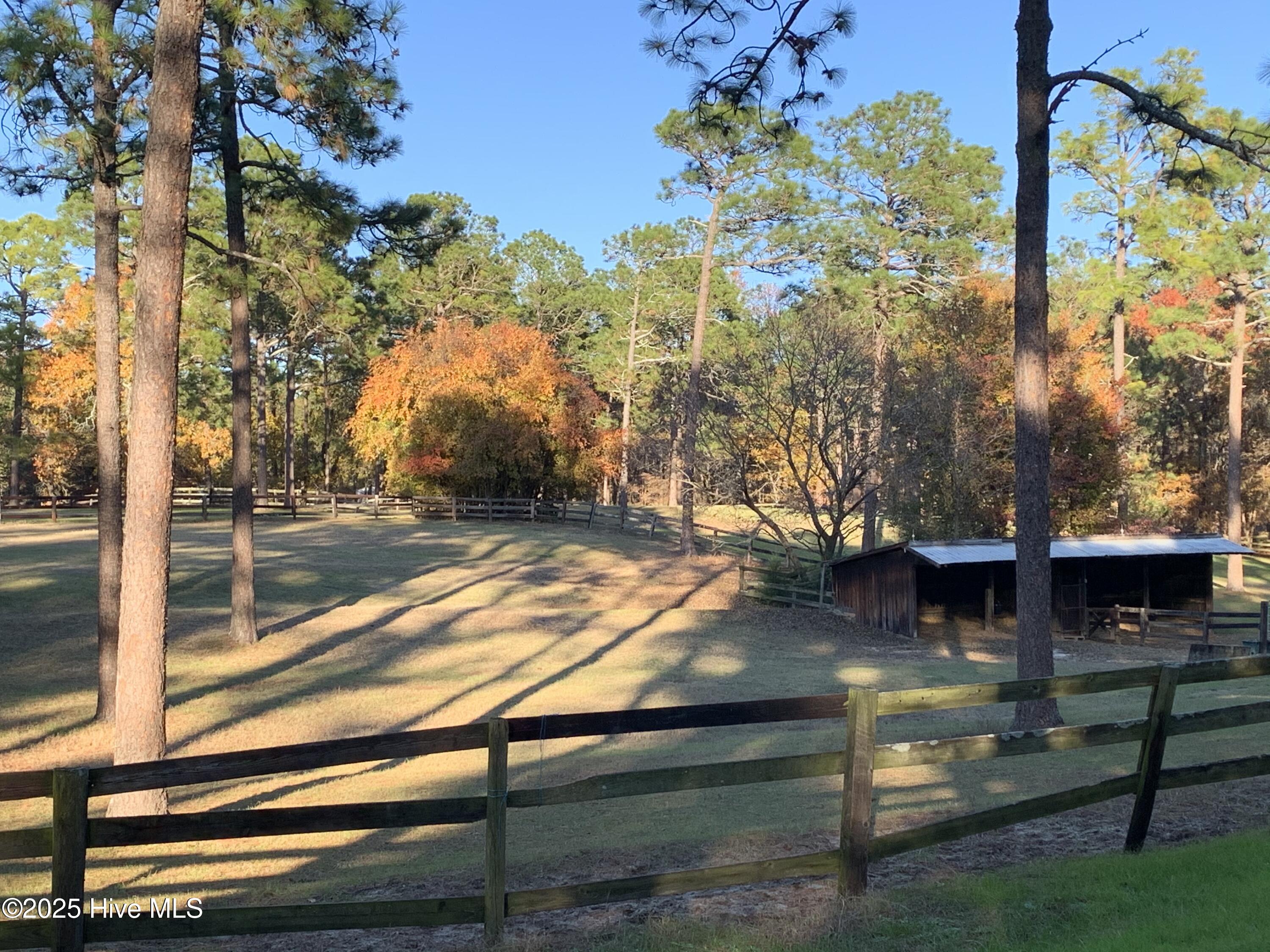 292 Bump A Long Lane