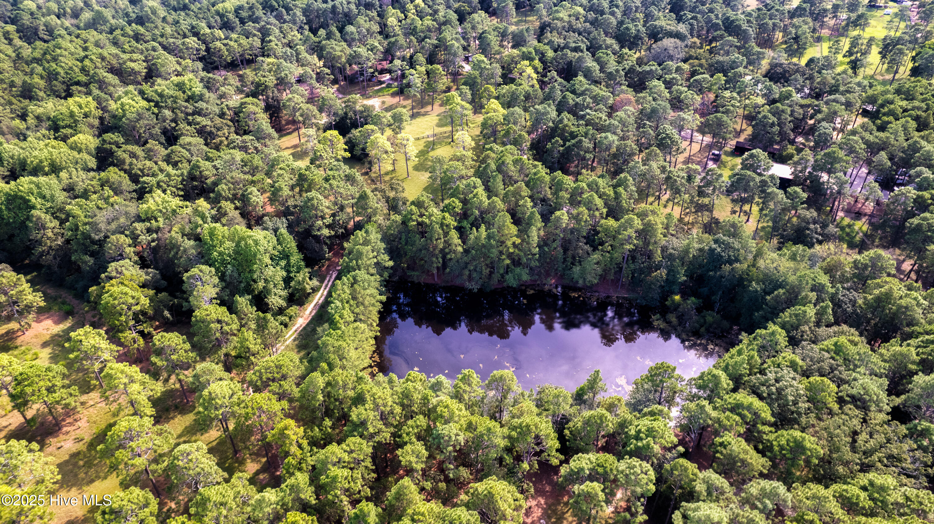 292 Bump A Long Lane