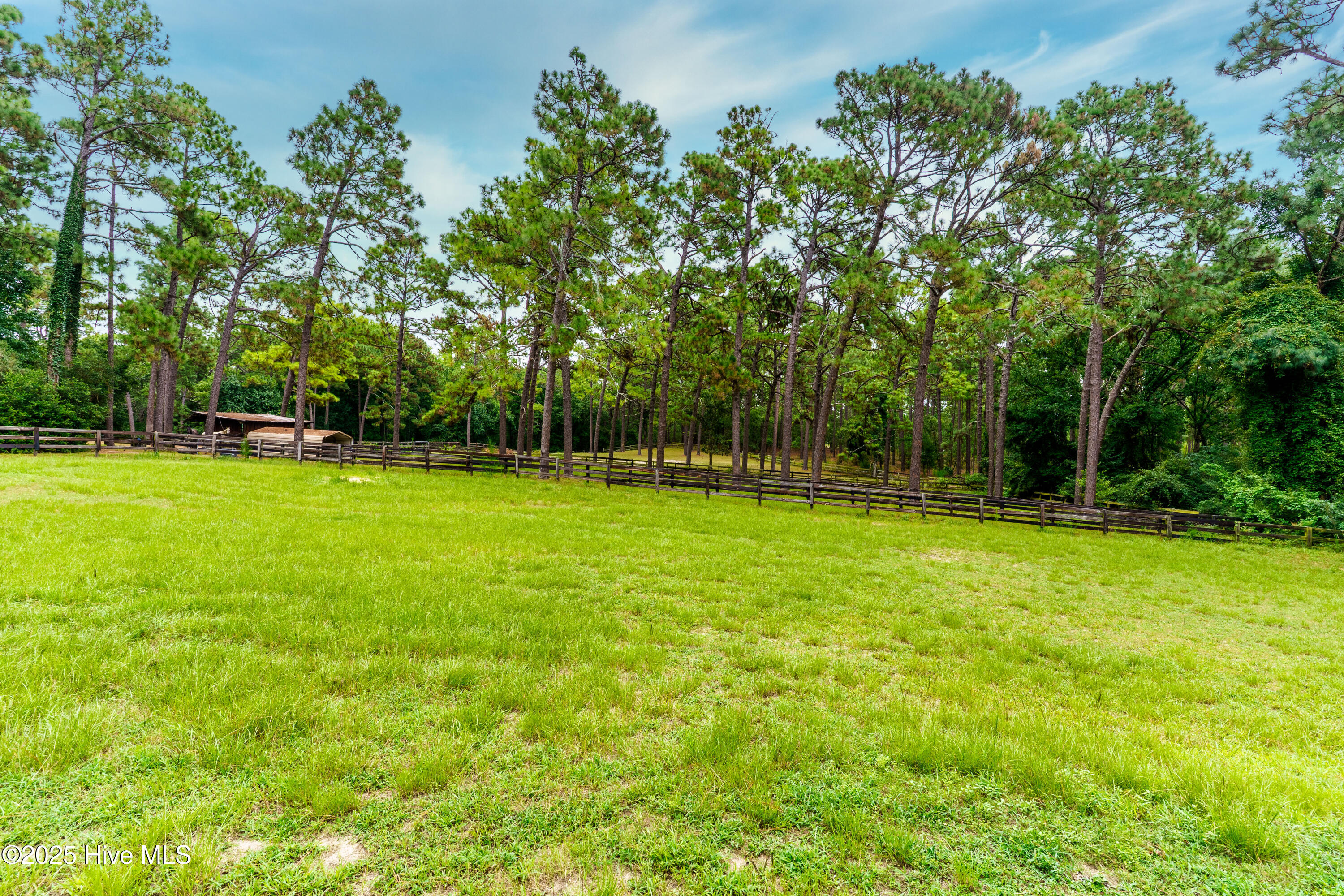 292 Bump A Long Lane