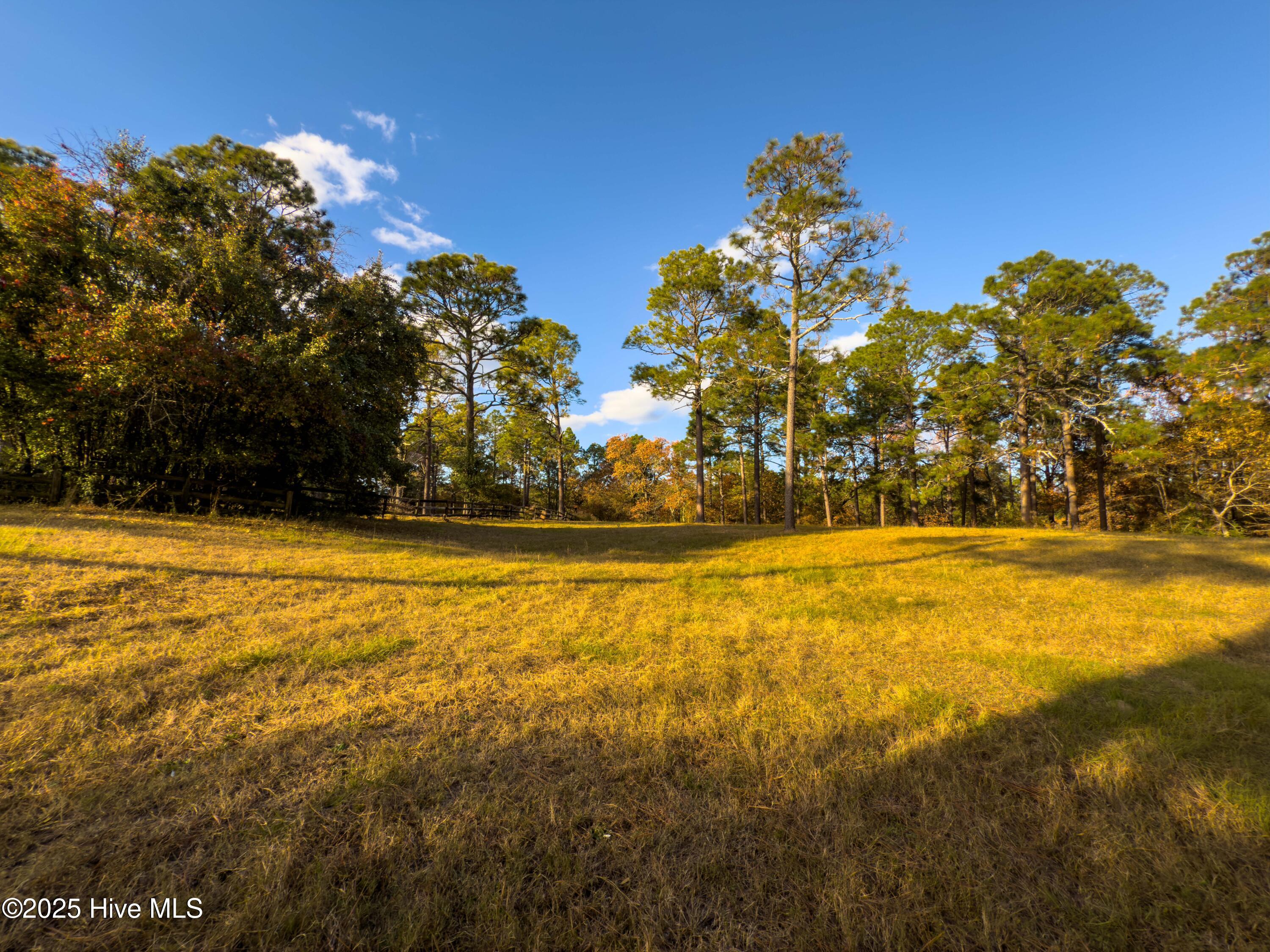 292 Bump A Long Lane