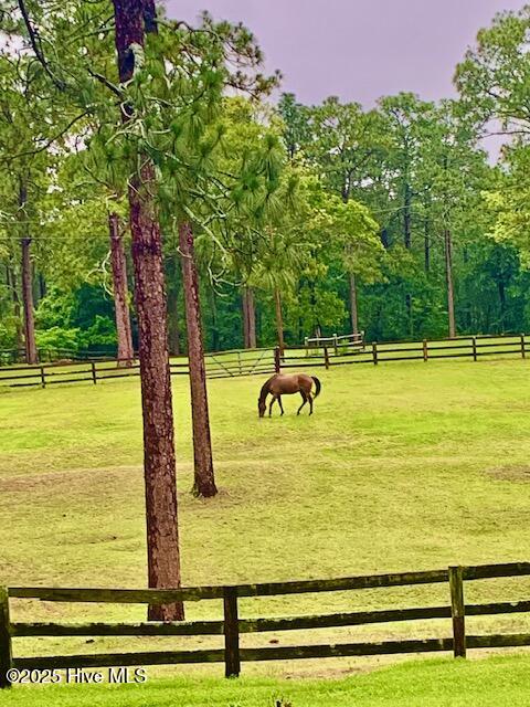 292 Bump A Long Lane