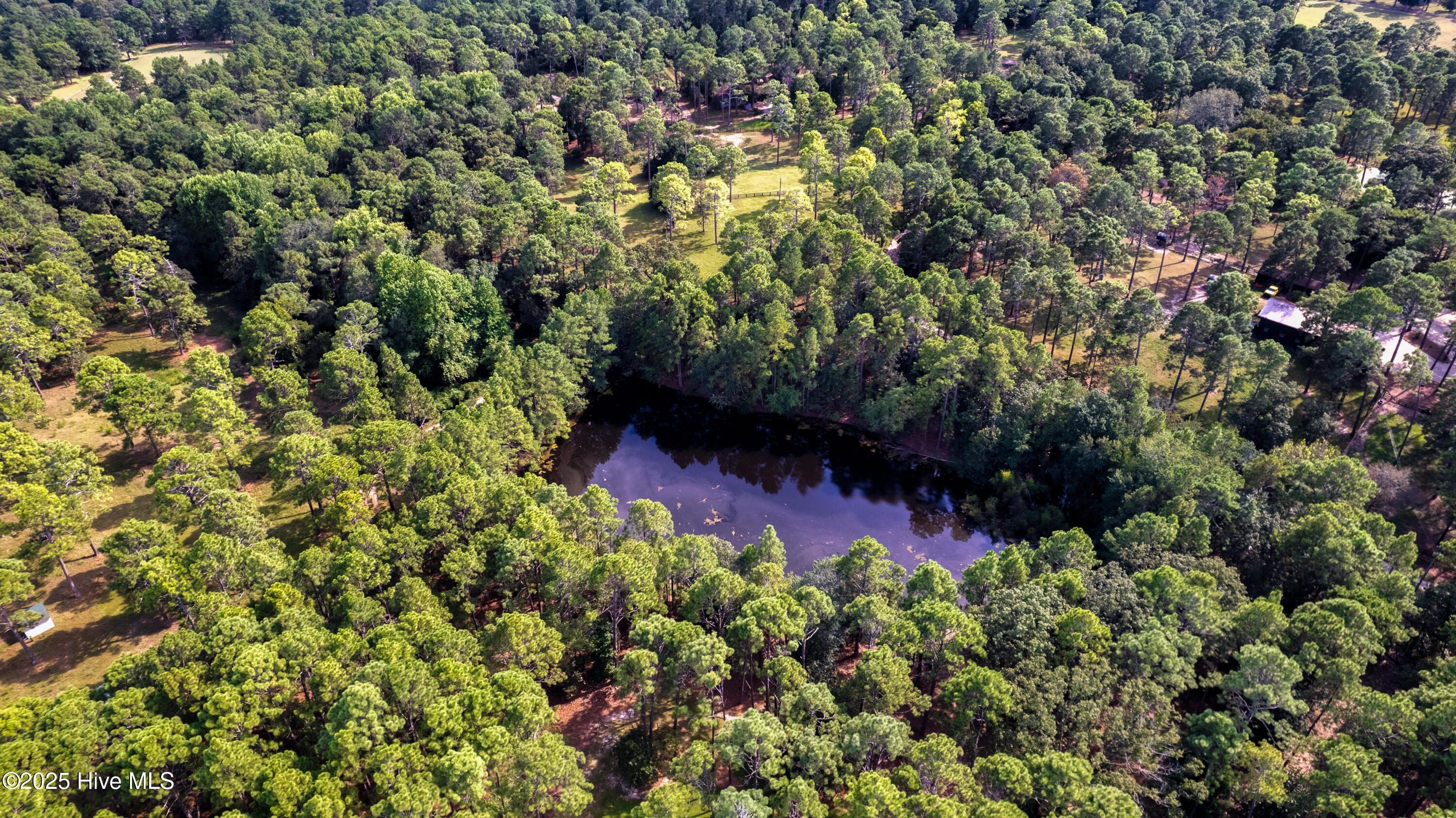 292 Bump A Long Lane