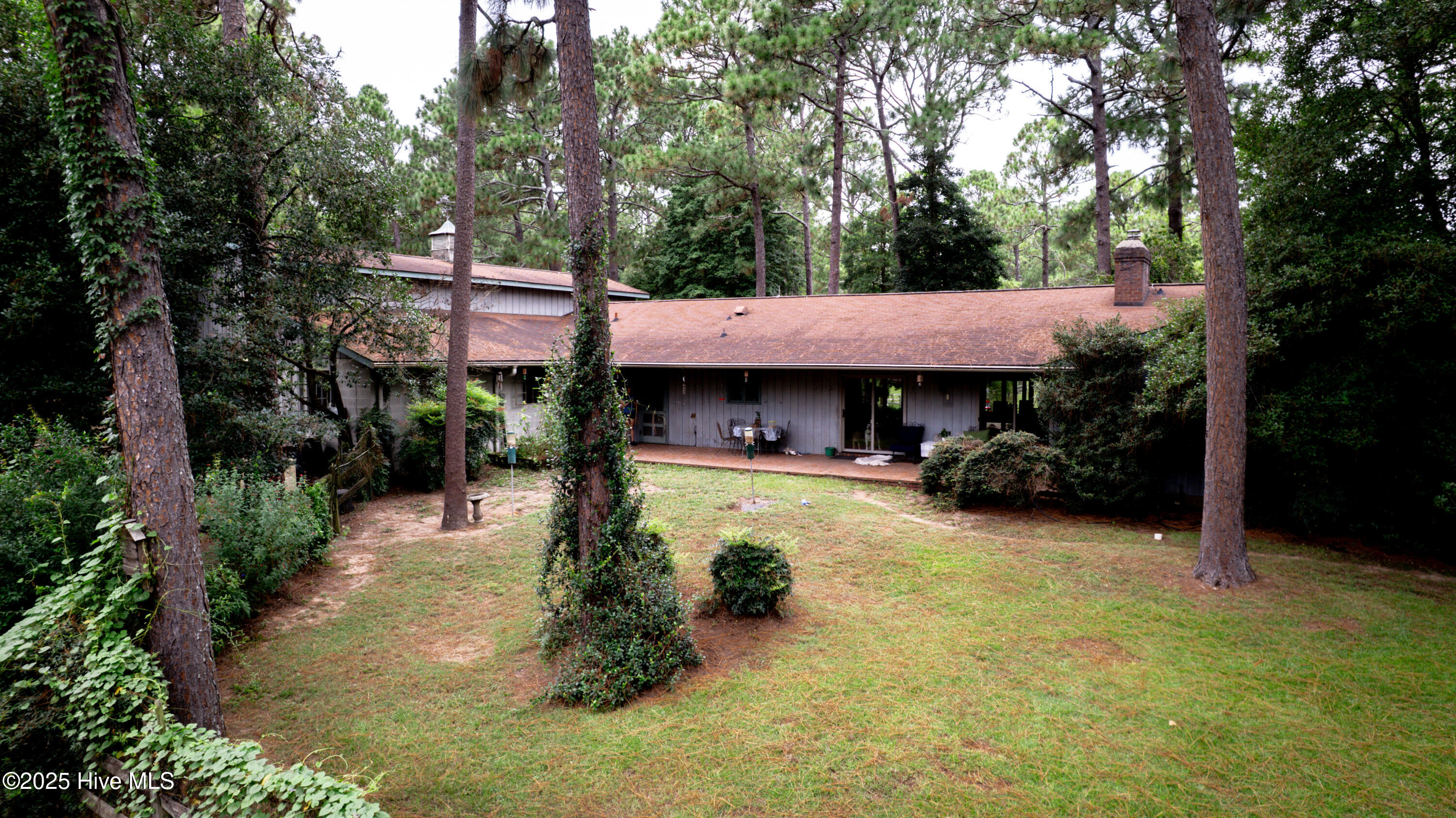 292 Bump A Long Lane