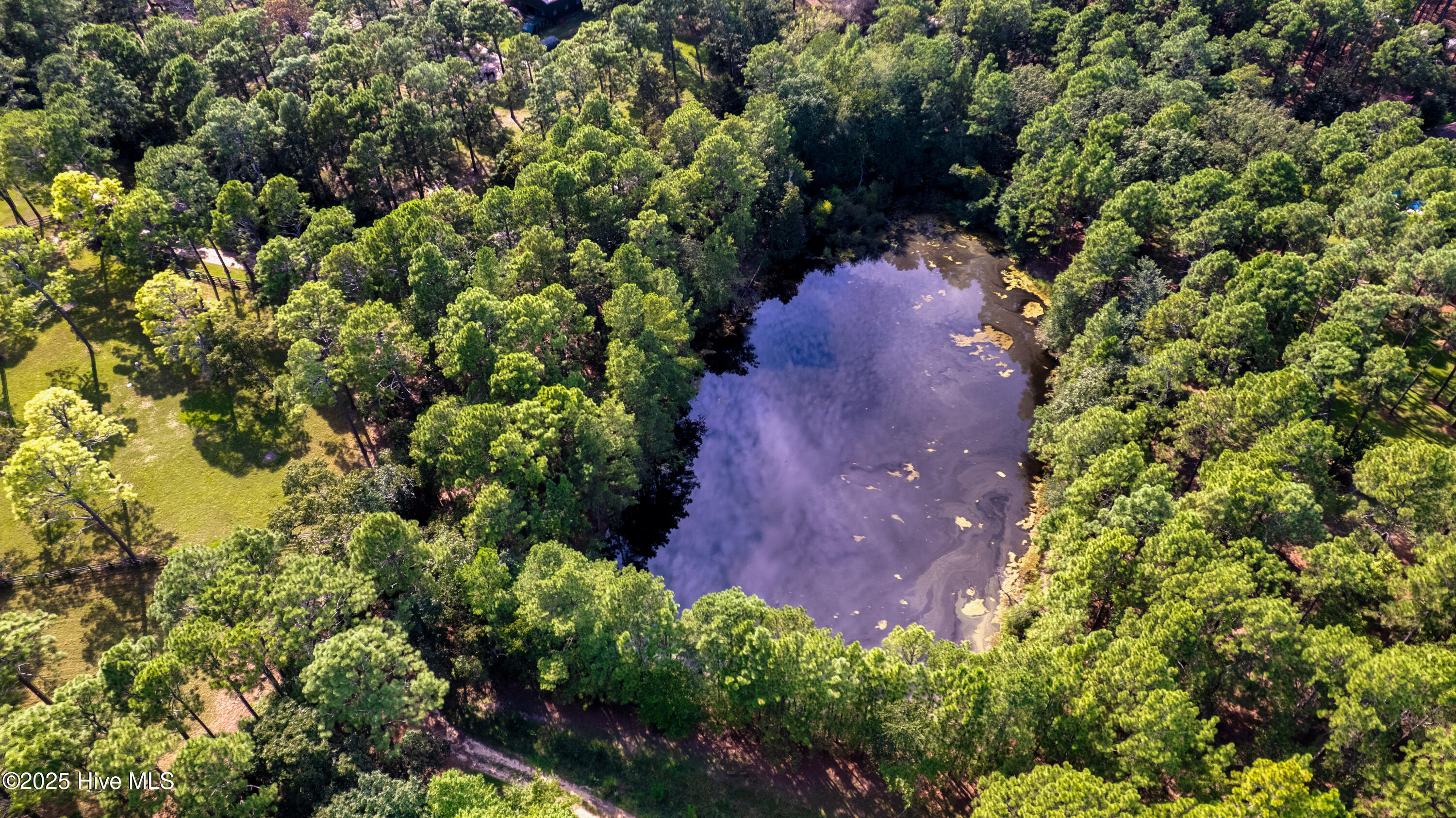 292 Bump A Long Lane