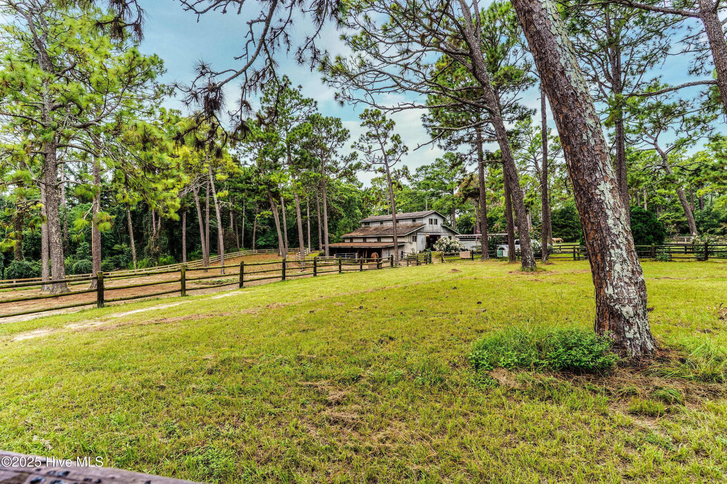 292 Bump A Long Lane