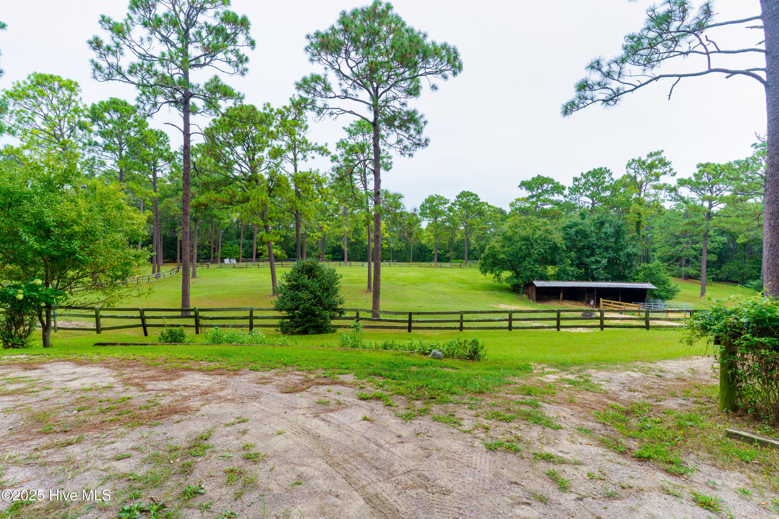 292 Bump A Long Lane