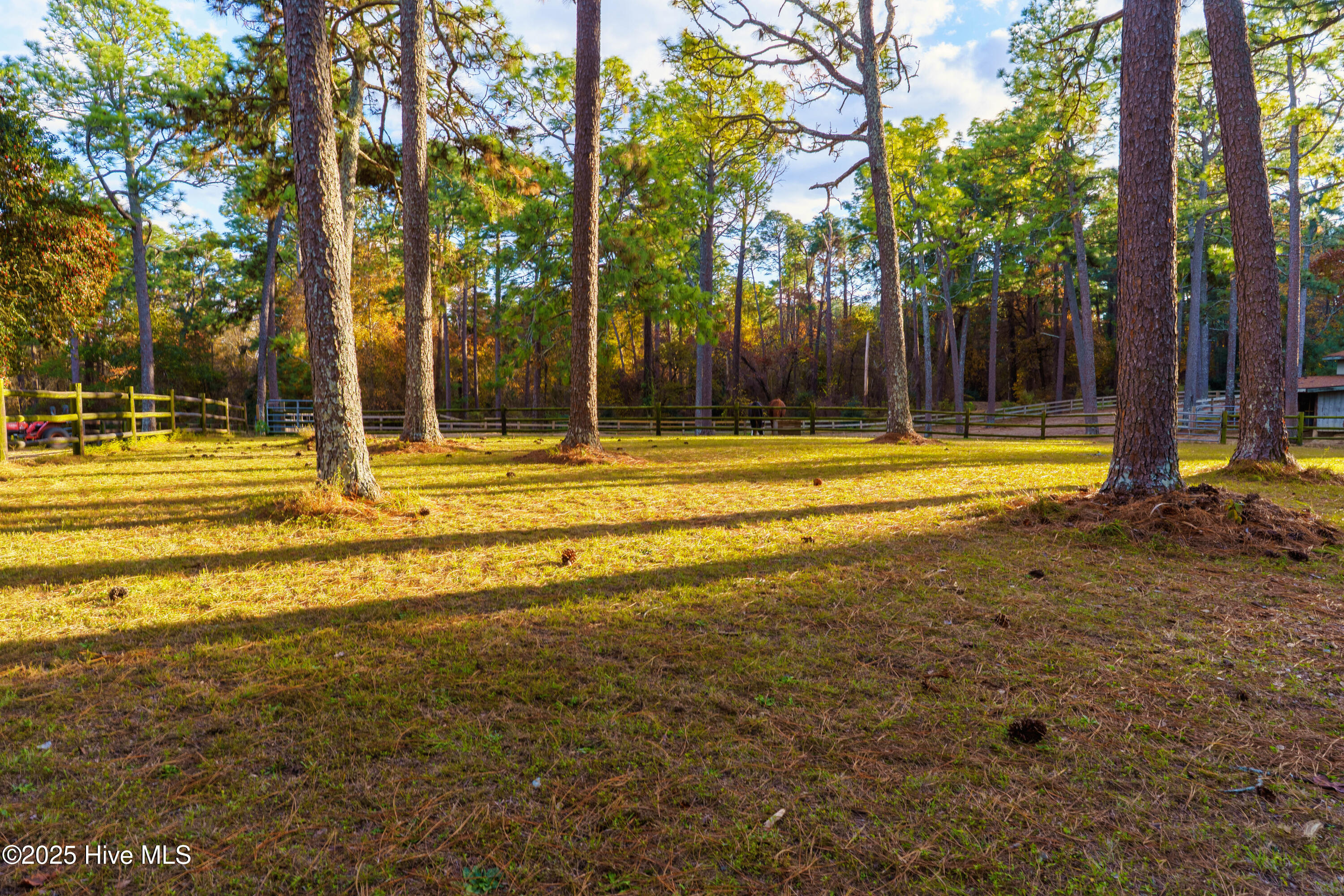 292 Bump A Long Lane