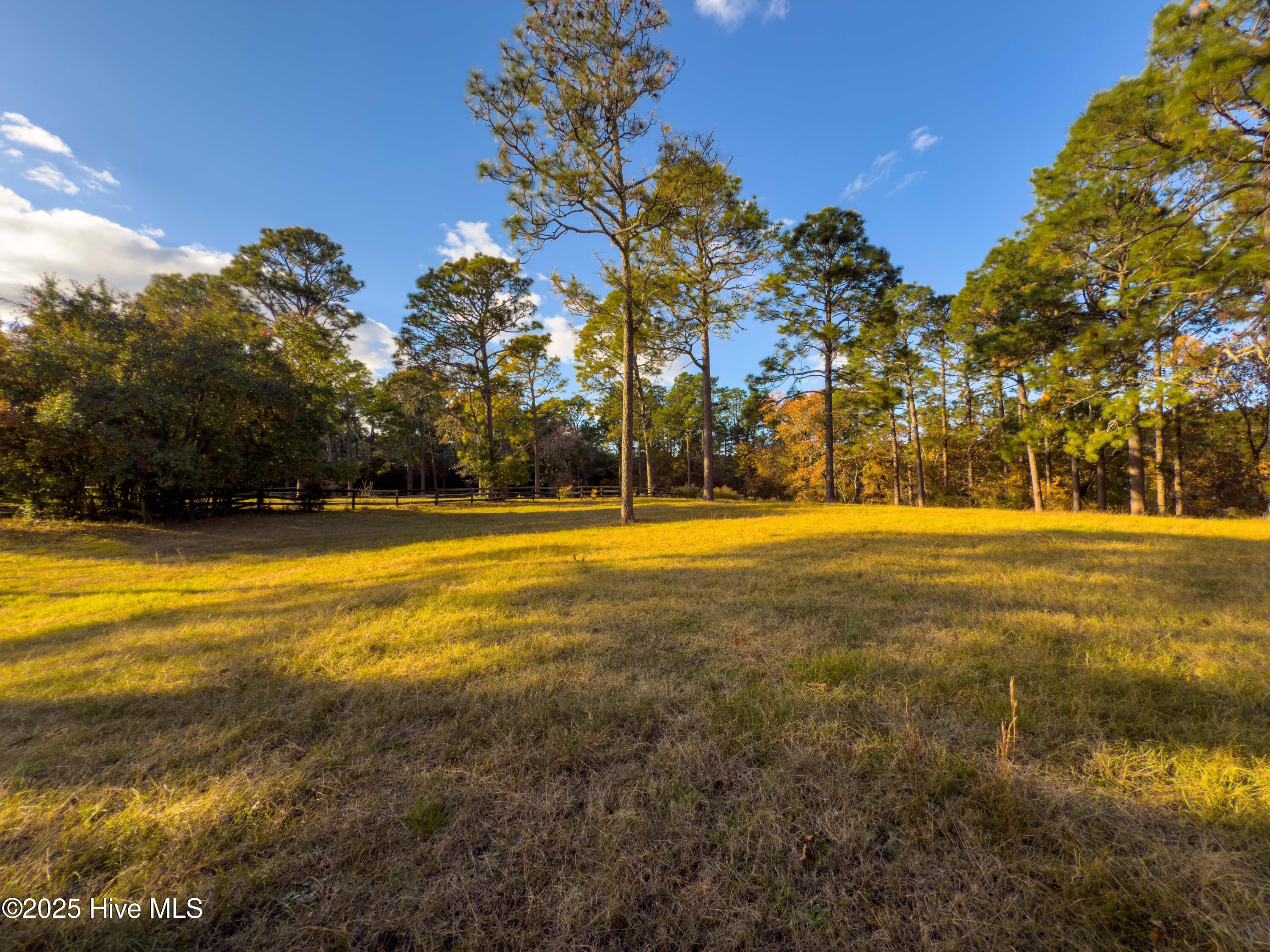 292 Bump A Long Lane